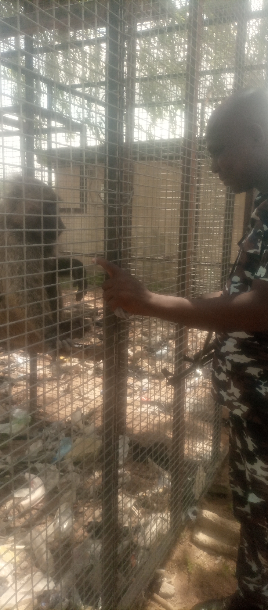 In Kuson, Nigeria, a person in camouflage uniform gestures towards a baboon in a cage. The cage is made of wire mesh and appears to be filled with litter and debris. The baboon is on the left side of the frame, and the person is on the right, looking at the animal. The scene is outdoors, with trees visible in the background. The lighting suggests it is daytime.