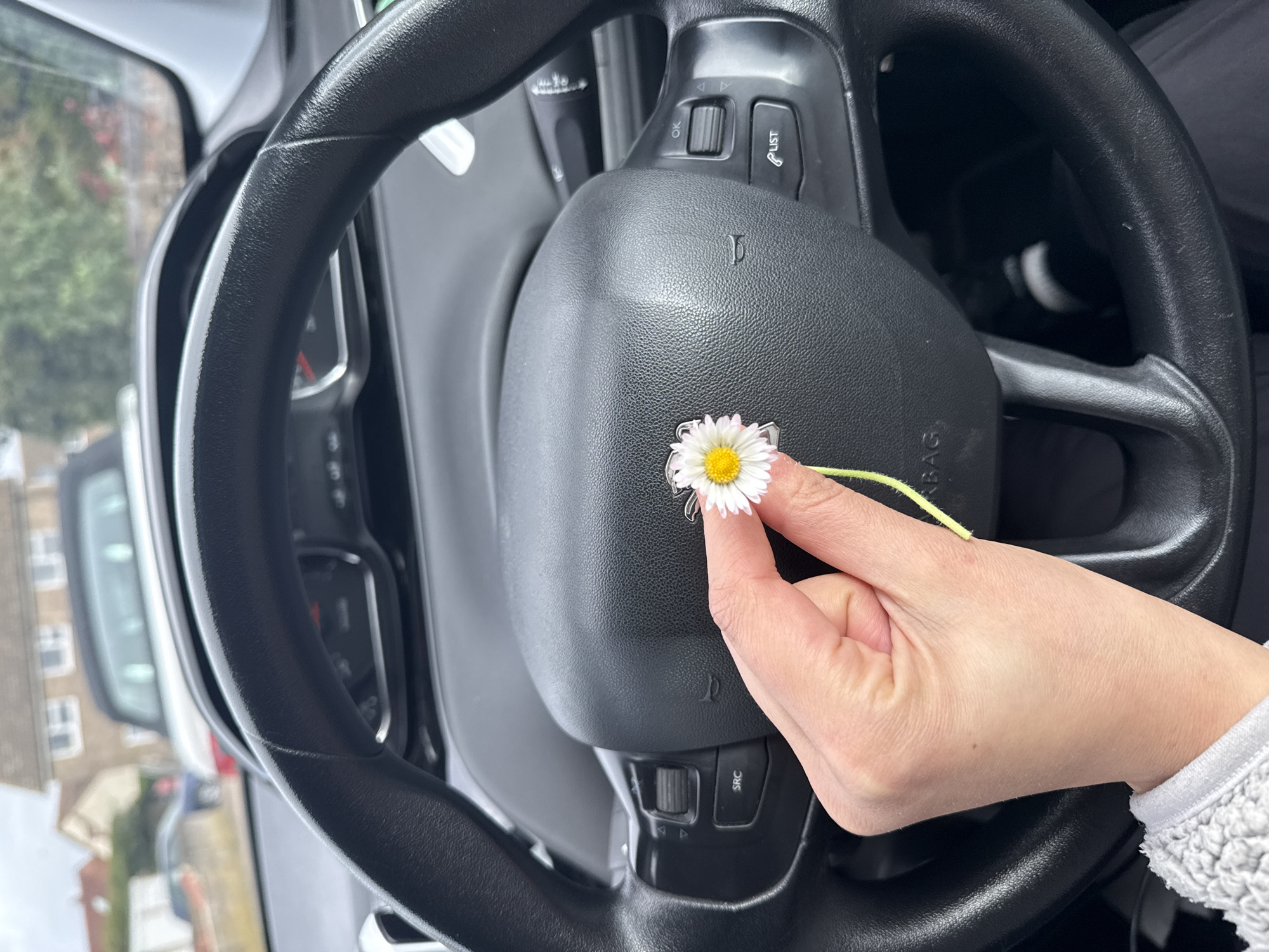 The image shows the interior of a car, focusing on the steering wheel. A hand holds a daisy in front of the steering wheel's center. Visible through the car's windows are buildings typical of residential areas in Gorleston-on-Sea, United Kingdom. The steering wheel is black and has various buttons and controls. The hand appears light-skinned and is wearing a white textured sleeve. The daisy is small and white with a yellow center. The street visible outside contains cars and houses, which indicates a residential area. The sky is overcast.