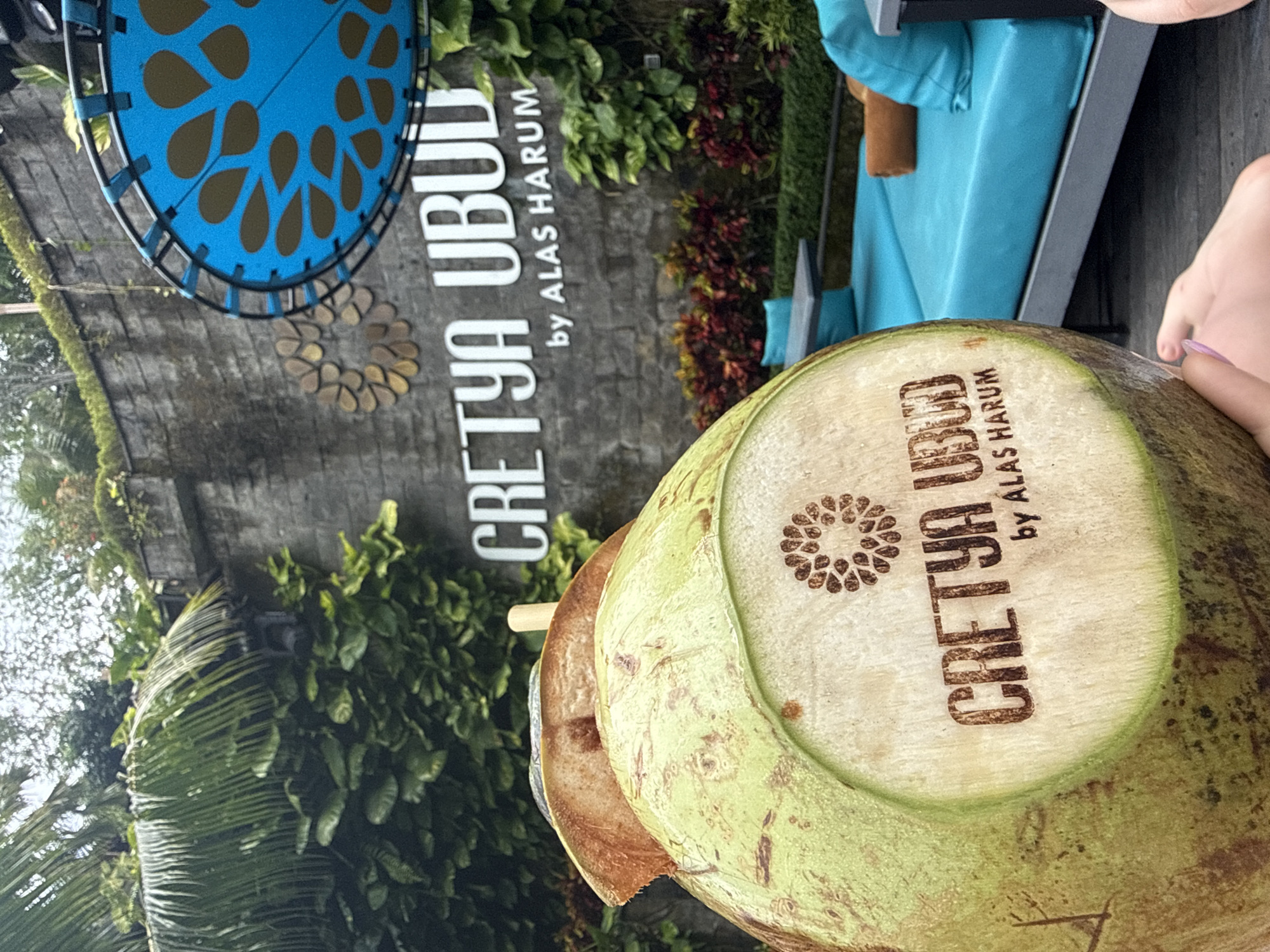 An outdoor scene features a fresh coconut drink prominently held by a person's hand. The coconut, partially husked, displays "CRETAYA UBUD by ALAS HARUM" branded or carved into its exposed white flesh, accompanied by a circular, flower-like decorative pattern. A straw is visible, indicating it's ready for consumption.
In the background, a large, dark stone or concrete wall features a prominent white sign with the text "CRETAYA UBUD by ALAS HARUM," along with a similar decorative motif. Lush green tropical foliage and plants cascade over and around the wall and sign, creating a vibrant, natural backdrop. Further in the background, blue-cushioned outdoor lounge furniture can be seen, suggesting a comfortable leisure area. The bright lighting indicates it is daytime. The presence of the branded text on both the coconut and the sign strongly identifies the location as "Cretaya Ubud by Alas Harum," a venue likely in the Tegallalang area of Indonesia, known for its natural beauty and tourist facilities.
