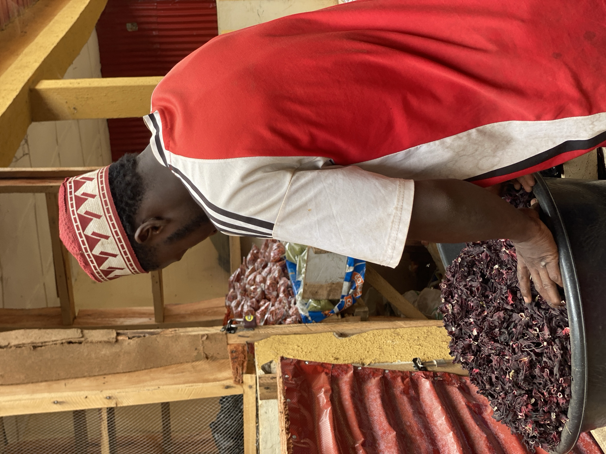 A man with dark skin, wearing a red and white short-sleeved shirt with black stripes on the sleeve (suggesting a sports brand like Adidas) and a distinctive red and white patterned skullcap, is the central subject of the image. He is leaning forward, looking down into a large, black, round container that is filled with a substantial quantity of dried, dark red, and purple plant material. His right hand is immersed in these dried flowers, suggesting he is actively sorting, scooping, or preparing them. The material strongly resembles dried hibiscus flowers, commonly used for beverages like Zobo in West Africa.
The scene takes place indoors or under a covered structure, likely a market stall, storage area, or processing facility for agricultural goods. The background features exposed wooden beams, some painted yellow, forming part of the overhead structure. Below these, walls appear to be constructed from concrete or mud bricks, and a red corrugated metal sheet is visible in the lower right, potentially part of a roof or partition. Further in the background, stacked clear plastic bags filled with other dried goods or produce are discernible, along with a blue and white patterned bag. Additional wooden framing and a mesh material suggest shelving or an enclosure.
The activity clearly shows the handling of dried produce. The man's posture indicates focused engagement with the task. The lighting is diffused, typical of an indoor space. The attire of the man and the type of product being handled are consistent with the provided location context of Kafanchan B, Nigeria. No specific emotions are evident on the man's obscured face, and no legible text is visible in the image.