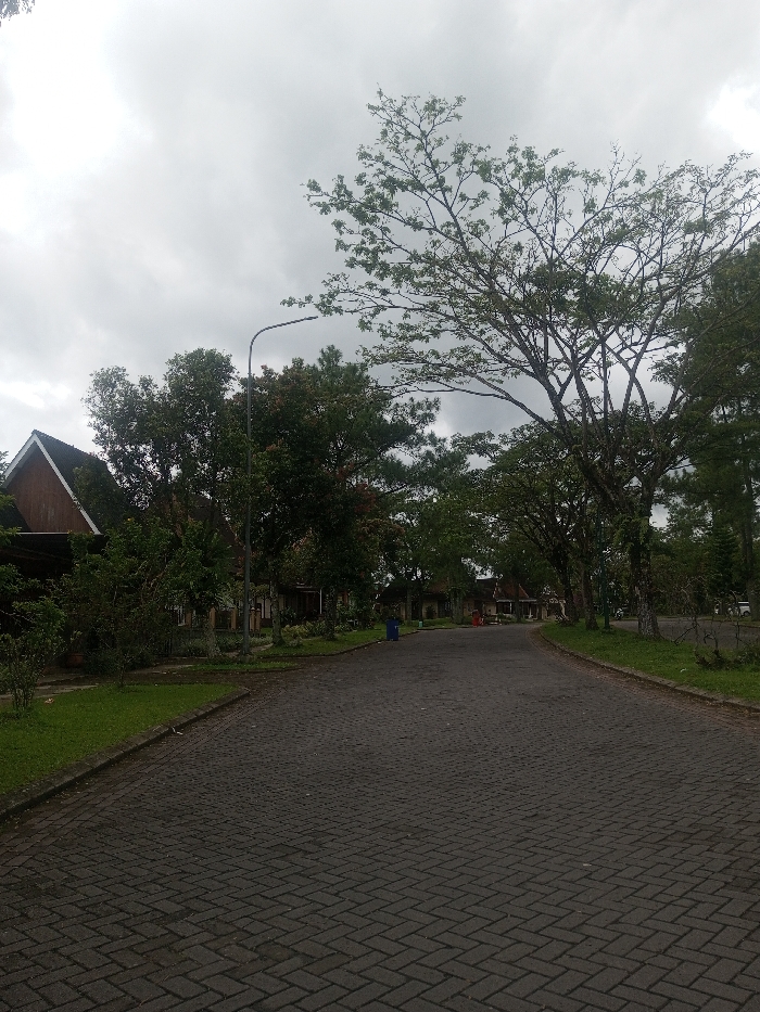The image captures a quiet, paved road in Sukanagalih, Indonesia, under an overcast sky. The road, constructed from dark gray interlocking pavers in a herringbone pattern, curves gently to the right and recedes into the distance. Lush green grass verges line both sides of the road. A tall, dark gray streetlamp with a curved arm and lamp head stands on the left side of the road, approximately one-third of the way into the frame. Multiple trees with varying foliage density, including both deciduous and evergreen types, line the street, forming a canopy over parts of the road. Houses with traditional Indonesian-style dark-tiled roofs and light-colored eaves are visible behind the trees on both the left and right sides of the road. A distinct dark brown gable end is visible on a house on the far left. A small blue refuse bin is located on the left side of the road further down from the streetlamp. The sky is entirely covered by dense, light gray clouds. No people or vehicles are present in the scene.