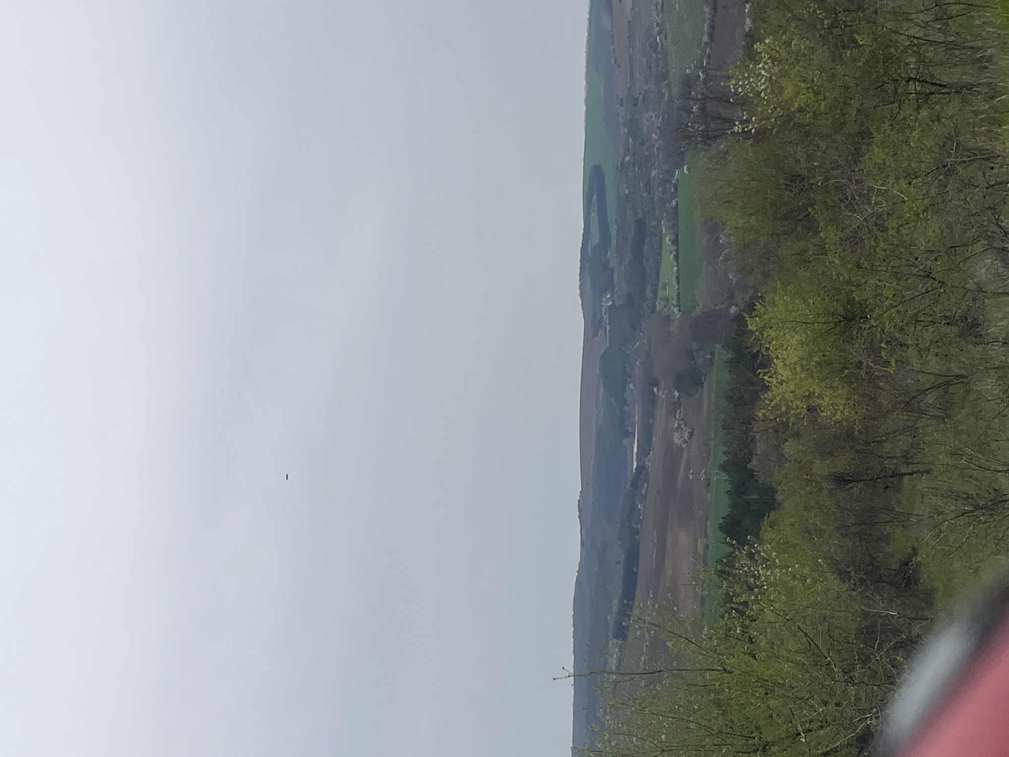 The image depicts a landscape scene, possibly taken from an elevated vantage point. The setting appears to be in Razgrad, Bulgaria, based on the topography and vegetation. The foreground features green trees with budding leaves, indicating a spring season. In the midground, there's a valley with a mix of green fields and tilled land, characteristic of an agricultural area. A town or settlement is visible in the distance, nestled amidst the landscape. The sky is overcast and a uniform grey color, which could imply a cloudy or foggy day. There is an object in the sky near the upper left. The image is rotated.