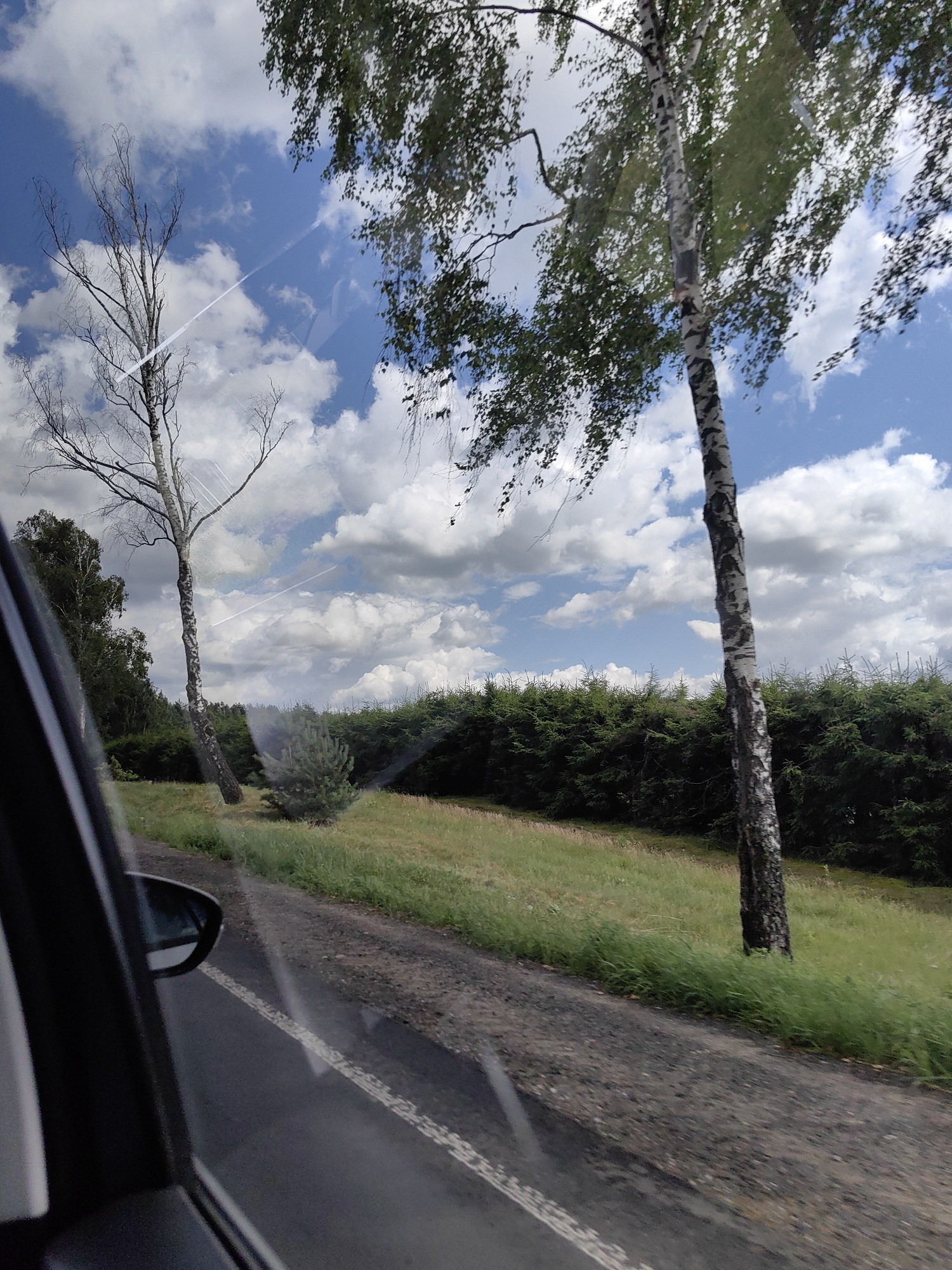 The image shows a view from a vehicle traveling on a road in Сваткаўскі сельскі Савет, Belarus, on a cloudy day. The foreground is dominated by the interior of the car, including the side mirror on the left and the edge of the windshield which reflects the sky. Outside, a paved road with a white dashed line runs alongside a grassy verge. Beyond the verge, a dense line of dark green coniferous trees forms a backdrop. In the mid-ground, two birch trees are visible. One is taller and more slender with sparse branches, while the other is thicker and closer to the road, its white bark with dark markings clearly visible, and its branches laden with green leaves. The sky above is a vibrant blue, dotted with fluffy white clouds, and a faint contrail from an aircraft can be seen.