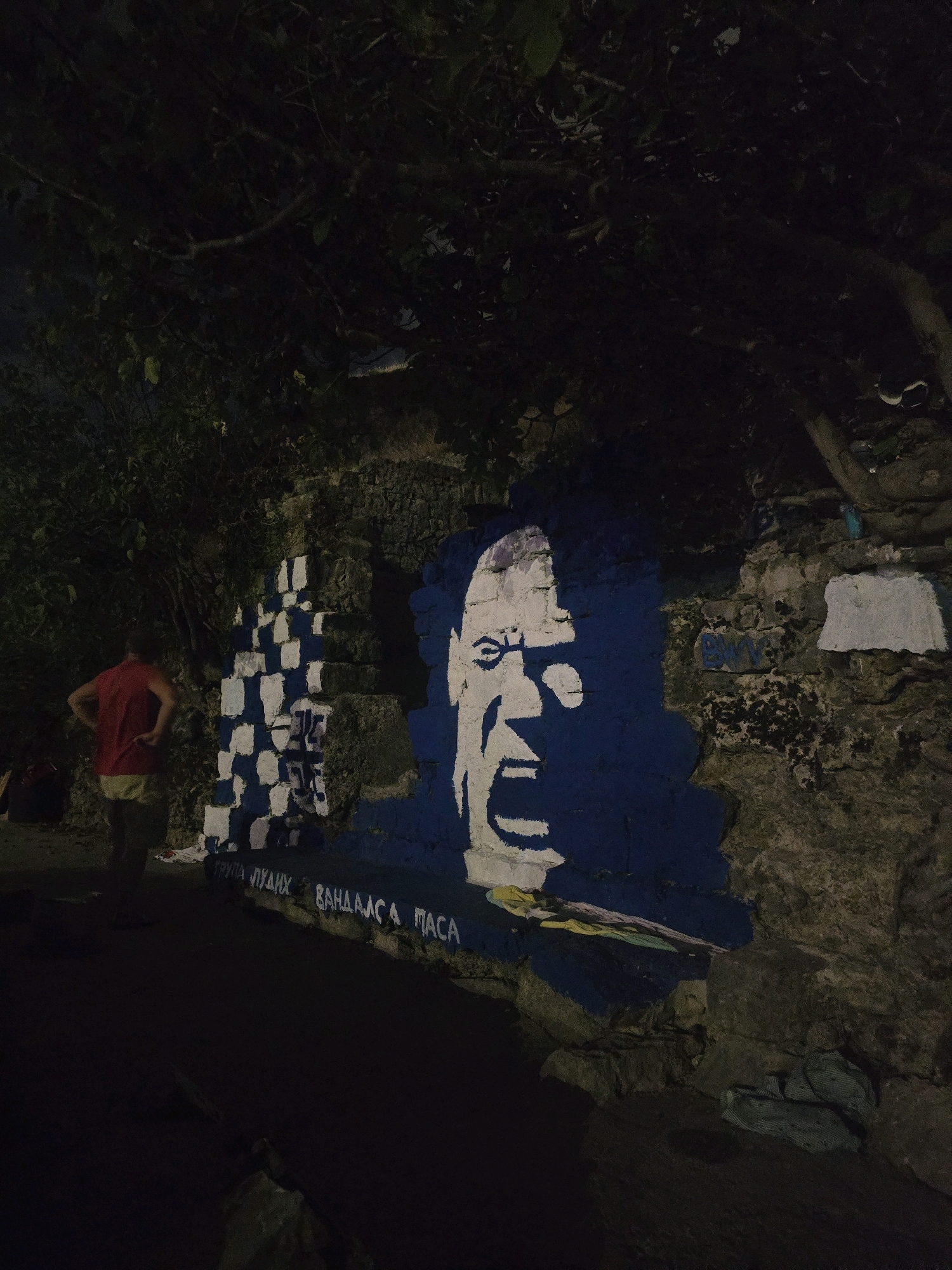 A medium shot shows a graffiti mural of a face with its mouth open on a rocky wall. To the left of the mural, a person wearing a red shirt and light-colored pants stands with their back to the camera. In front of the wall, there is a checkered pattern of blue and white squares. Below the checkered pattern and the mural, white text is spray-painted on the wall. The environment is dark, with trees and foliage visible in the background. Some discarded clothing is also visible on the ground in front of the wall.