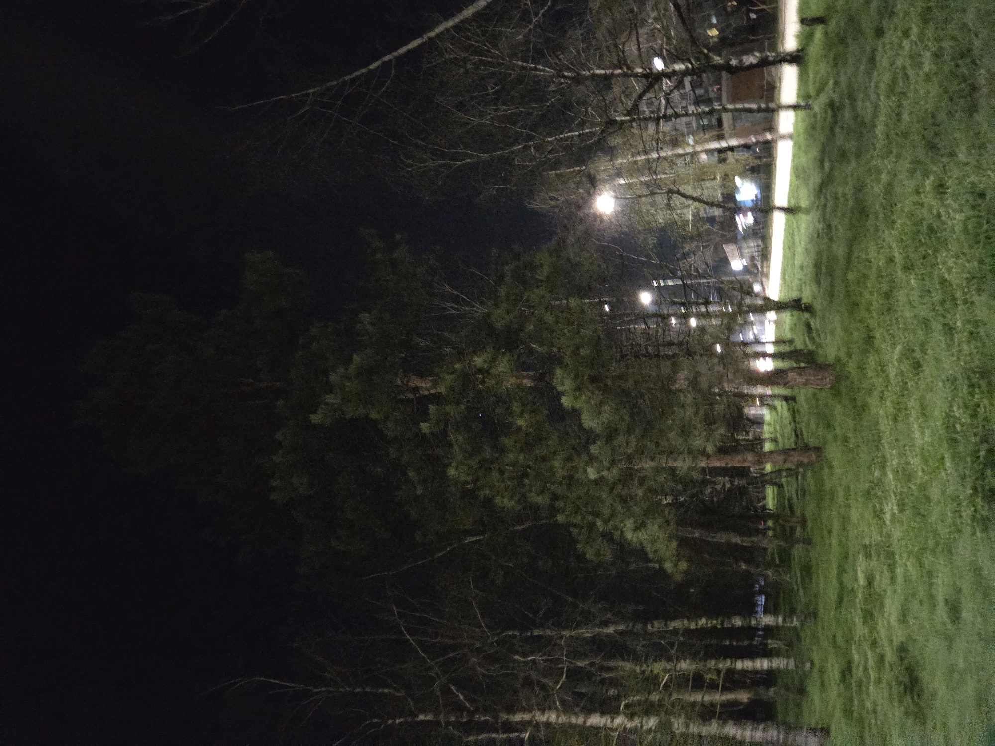 The image shows a night scene in a park in Pleven, Bulgaria. There is a dark area on the left side of the image, transitioning into a row of trees illuminated by streetlights. To the right, there is a grassy area. The overall scene suggests a park or green space in an urban environment at night.