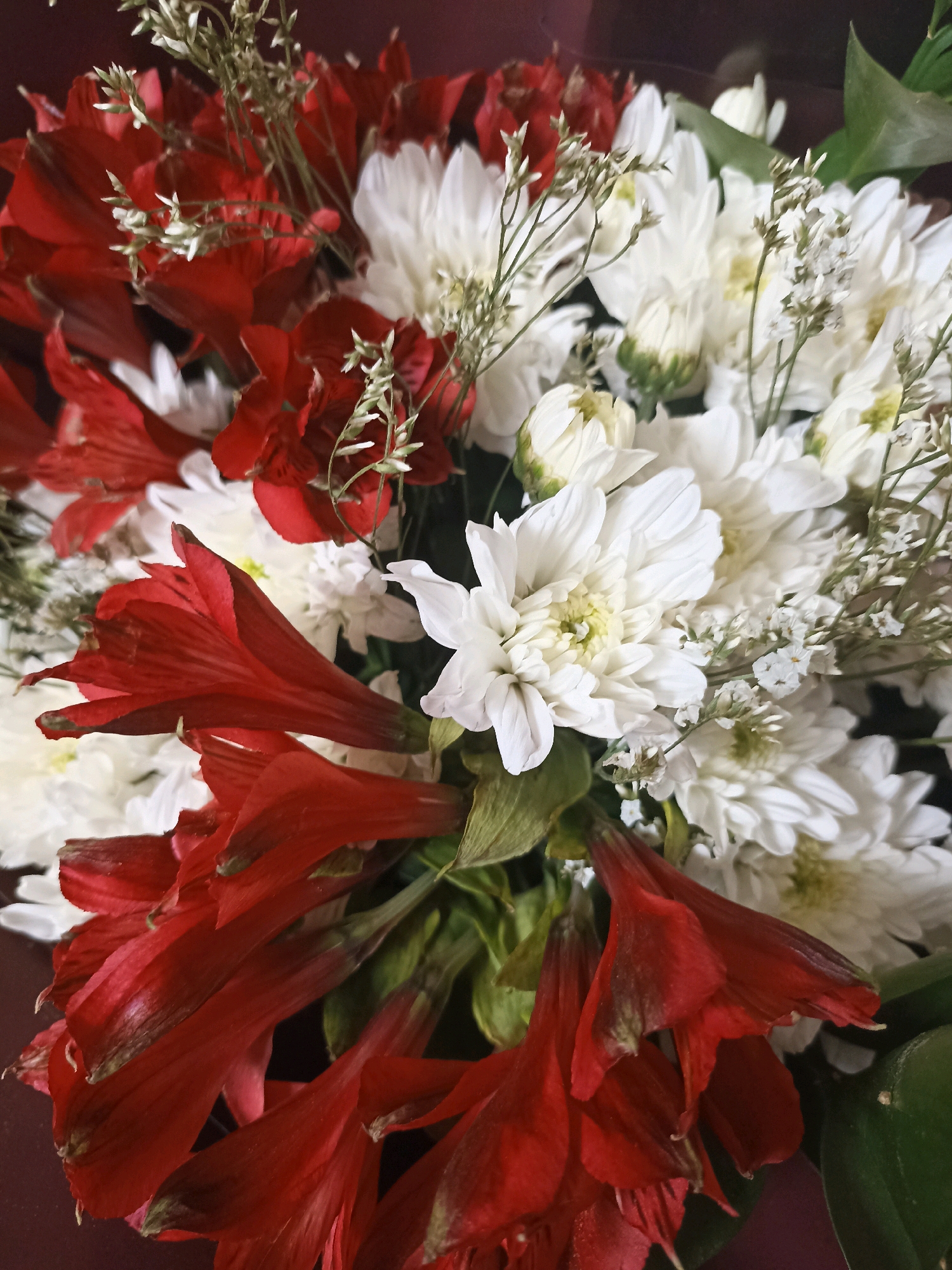 A close-up, overhead shot captures a bouquet of vibrant red and white flowers against a dark maroon background. The arrangement includes red alstroemeria with elongated, trumpet-shaped petals, interspersed with fluffy white chrysanthemums. Delicate, feathery sprigs of baby's breath are scattered throughout the bouquet, adding texture and volume. The lighting is soft, highlighting the rich colors and intricate details of the flowers. The overall impression is one of a lush and elegant floral display.
