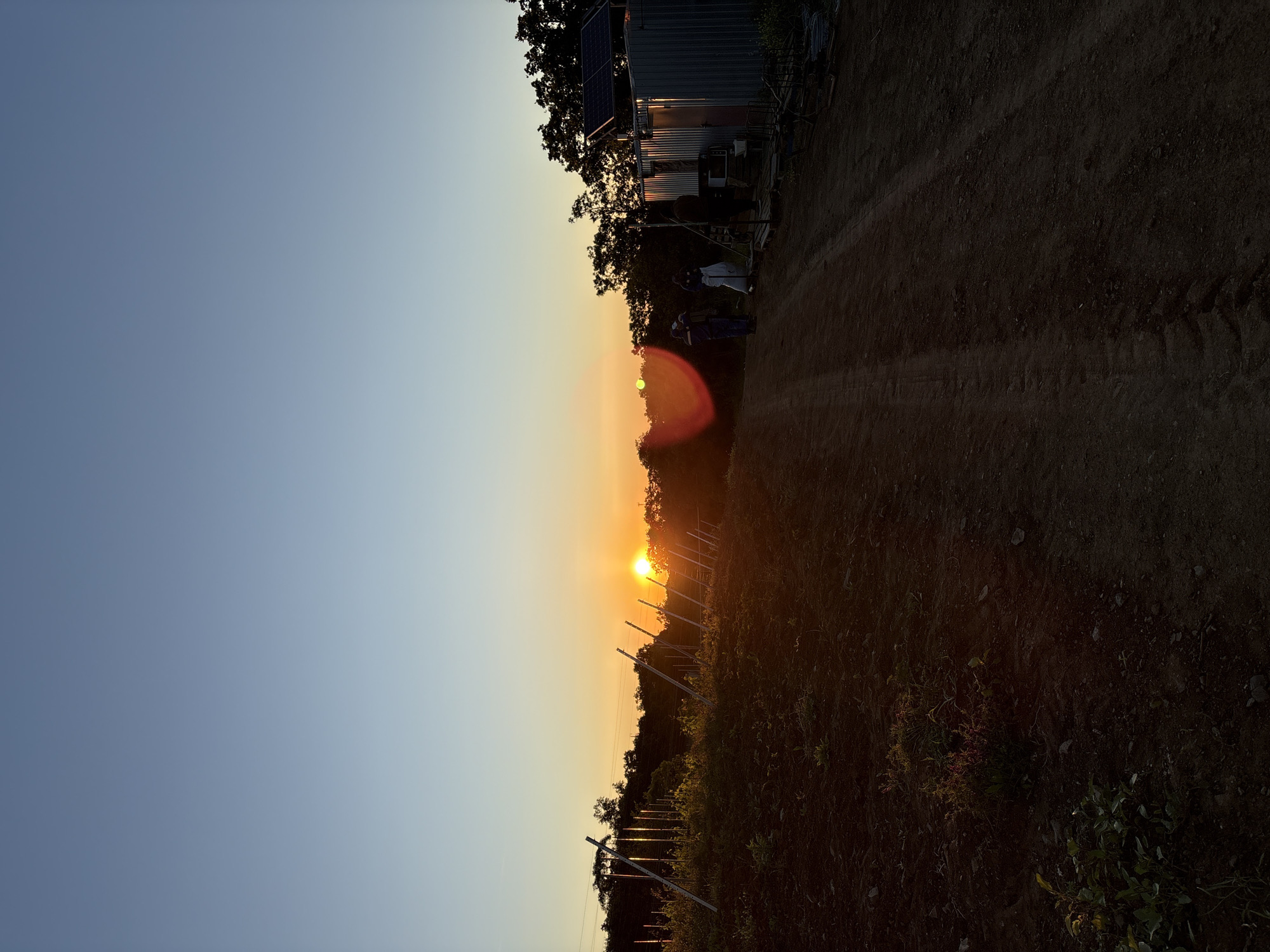 The image, correctly oriented as a landscape, depicts an outdoor scene at either sunrise or sunset in Kiparisnoe, Ukraine. The sun, a bright, glowing orb, is positioned low on the horizon, casting a warm, golden light across the landscape and producing a distinct lens flare. The sky transitions from a clear, deep blue at the top to vibrant shades of orange and yellow near the horizon.
In the middle ground, on the right side of the frame, stands a simple corrugated metal structure, possibly a shed or container, topped with solar panels. Dark, dense trees are silhouetted behind and around this building. Two individuals are visible near the structure; one appears to be wearing light-colored attire, perhaps overalls, while the other is dressed in darker clothing. They seem to be standing, but no specific activity is clearly discernible.
A wide dirt path or road, showing tire tracks, runs from the foreground into the distance on the right. The ground is dark earth with patches of green vegetation. On the left side of the image, and extending into the middle ground, are numerous tall, slender posts or stakes arranged in rows, suggesting an agricultural area like a vineyard or orchard. The overall impression is a peaceful, rustic setting during the "golden hour." No visible text is present in the image.