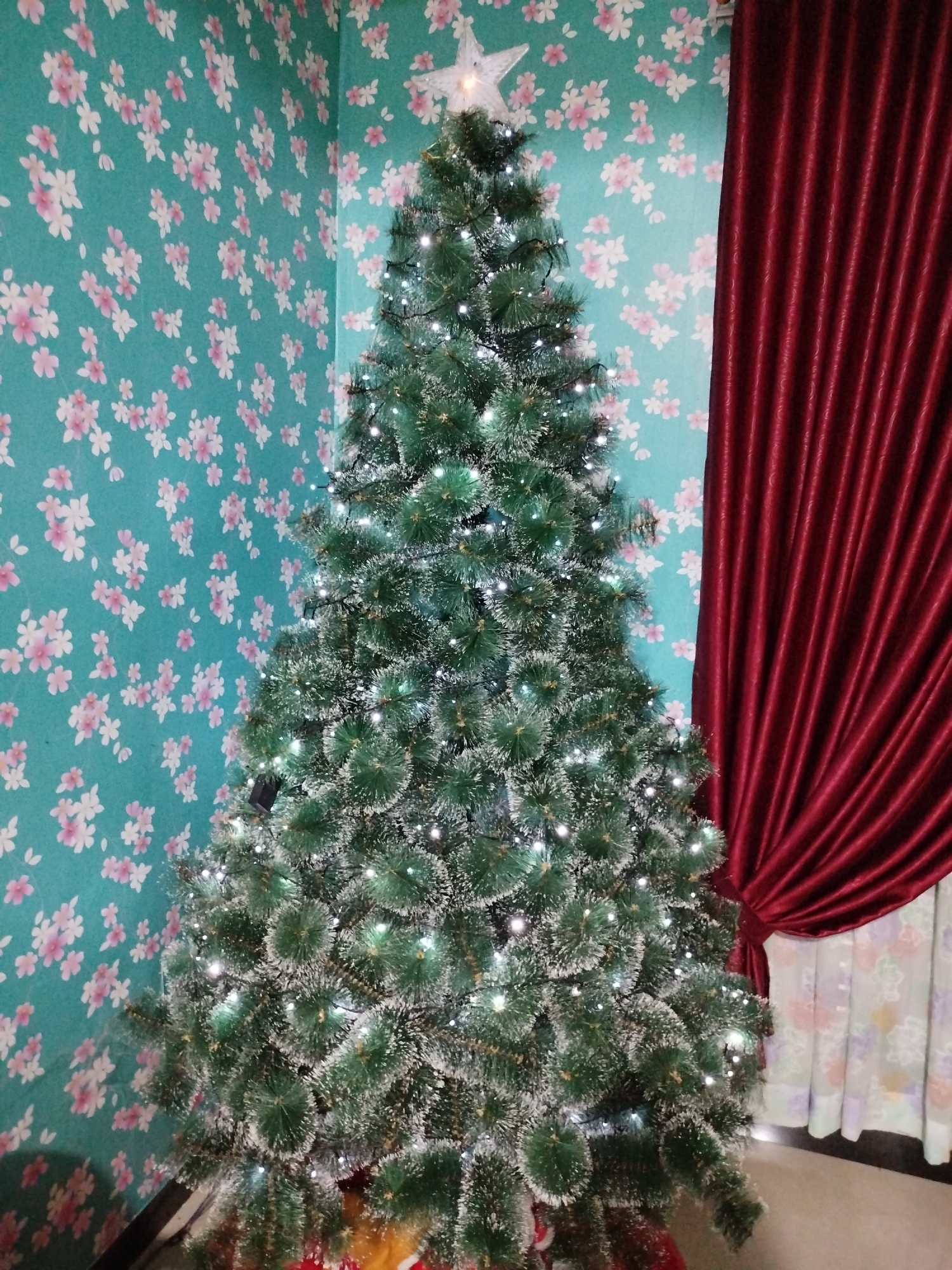 A decorated Christmas tree stands in the corner of a room, its green branches dusted with artificial snow and illuminated by small white lights. A bright white star adorns the top of the tree. Behind the tree, to the left, is a wall covered in teal wallpaper with a repeating pattern of pink and white flowers. To the right of the tree, a rich red curtain is drawn closed, its fabric deeply pleated. To the right of the curtain, a sheer white curtain with a subtle floral pattern is visible. The Christmas tree is the central subject of the image, with the festive decorations and the contrast between the wallpaper and the curtain creating a cozy indoor scene. The location is not specified to be in the city of Bandungrejo, Indonesia.