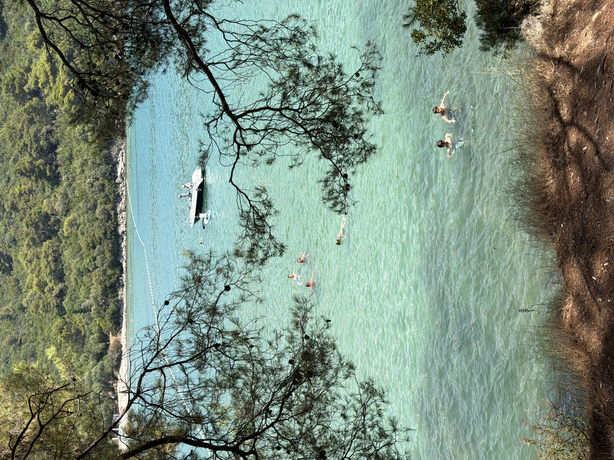 The image depicts a coastal scene in Bigova, Montenegro, characterized by clear, turquoise waters and lush green hillsides dotted with trees. In the foreground, dark, intricate branches of pine trees frame the view, casting dappled shadows on the dry, brown earth and sparse vegetation below. The water is populated by several individuals swimming, their bodies partially submerged. In the middle ground, a white motorboat with at least two people on board is anchored, and nearby, another person is on a paddleboard. Further back, a buoys line demarcates an area in the water. The background is dominated by a densely forested hill sloping down to the shoreline, where a few structures and beachgoers are visible. The overall impression is one of a tranquil, sun-drenched day at a secluded bay.