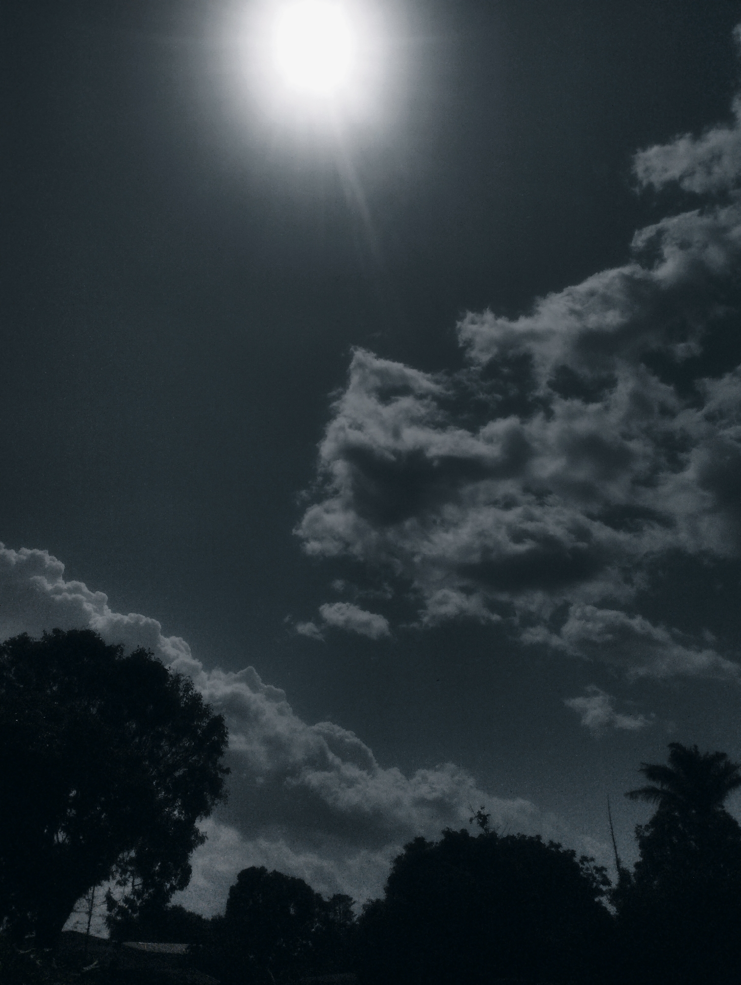 This is a black and white photograph taken in Jos, Nigeria, depicting a dramatic sky scene. The dominant subject is the sun, positioned in the upper left quadrant, emitting intense light and visible sunbeams that radiate outwards. Around the sun, the sky is dark, creating a high-contrast effect.
Scattered across the sky are various types of clouds. Some are bright and fluffy, catching the sunlight, while others are darker and more ominous, suggesting depth and texture. The clouds on the right side of the image appear more dense and shadowed compared to those on the lower left.
Silhouetted against the bright sky and clouds, the lower portion of the image features the dark shapes of trees and foliage. A large, bushy tree occupies the left foreground, with its dense canopy creating a strong dark mass. Other smaller trees and vegetation are visible in the background, contributing to the overall silhouette.
The overall mood of the image is dramatic and perhaps slightly moody due to the high contrast and the interplay of light and shadow. The intense sunlight suggests it is daytime, likely midday or afternoon, given the sun's high position. The presence of lush trees hints at a natural or semi-rural setting. No text is visible in the image.