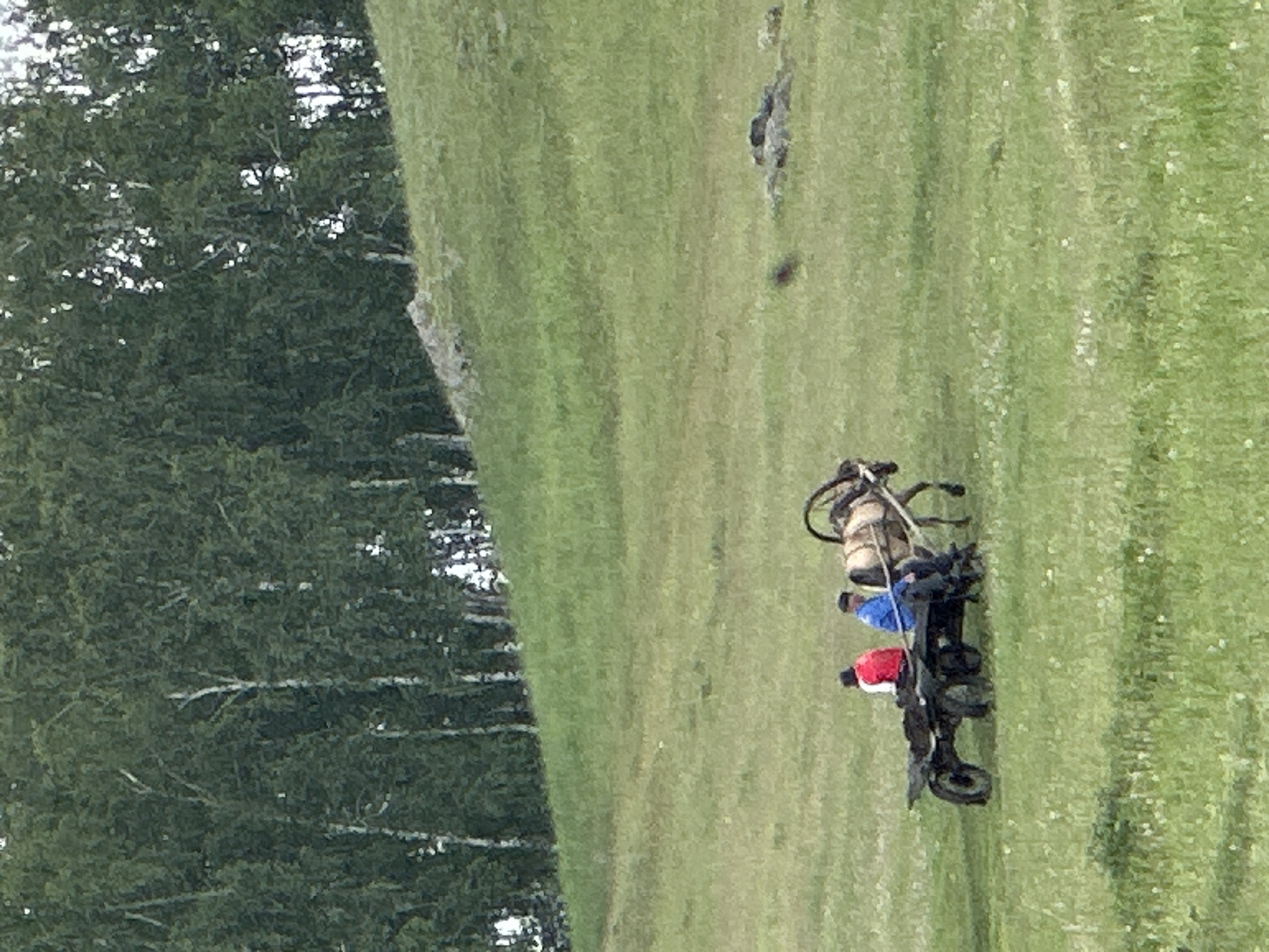 An outdoor, mid-shot, eye-level photograph captures a pastoral scene on a grassy hillside in Abzakovo, Russia. The foreground is dominated by lush green grass dotted with small white flowers. In the mid-ground, a horse-drawn cart is positioned on the left side of the frame. Two men are seated on the cart. The man on the left wears a red jacket and white pants, while the man on the right is dressed in a blue jacket and dark pants, with a dark cap. The horse, a light brown color, is harnessed to the cart and faces towards the right. The cart itself appears old and rustic, with two visible wheels on the left side and implied wheels on the right. The background features a dense forest of tall, slender trees with green foliage. A rocky slope is visible between the cart and the forest. The sky is not visible.