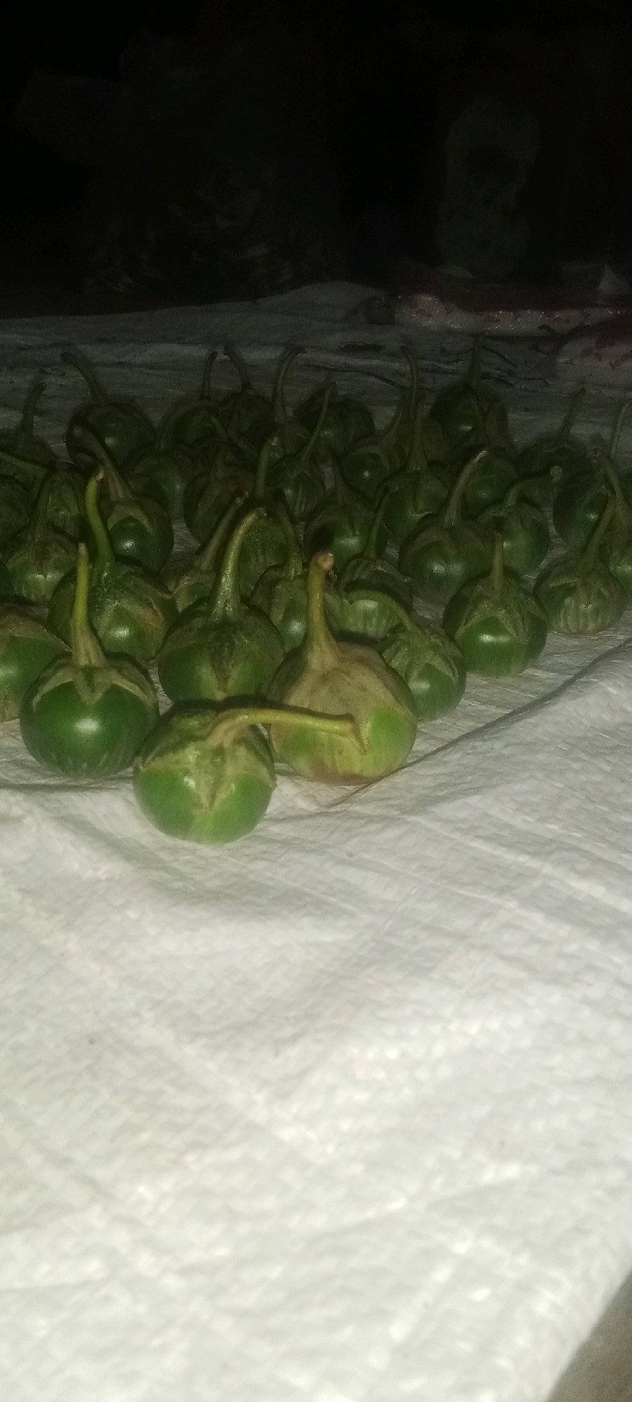 A close-up, slightly blurry overhead shot shows a pile of small, round, green vegetables with pointed stems, possibly baby eggplants or similar produce, spread out on a white, textured surface. The lighting is dim, creating dark shadows in the background and highlighting the subjects in the foreground. The white surface appears to be a cloth or paper, possibly for drying or display. The image does not provide any context or clues that would allow for a specific location in Karawang, Indonesia, to be identified. There are no people, actions, or interactions depicted.