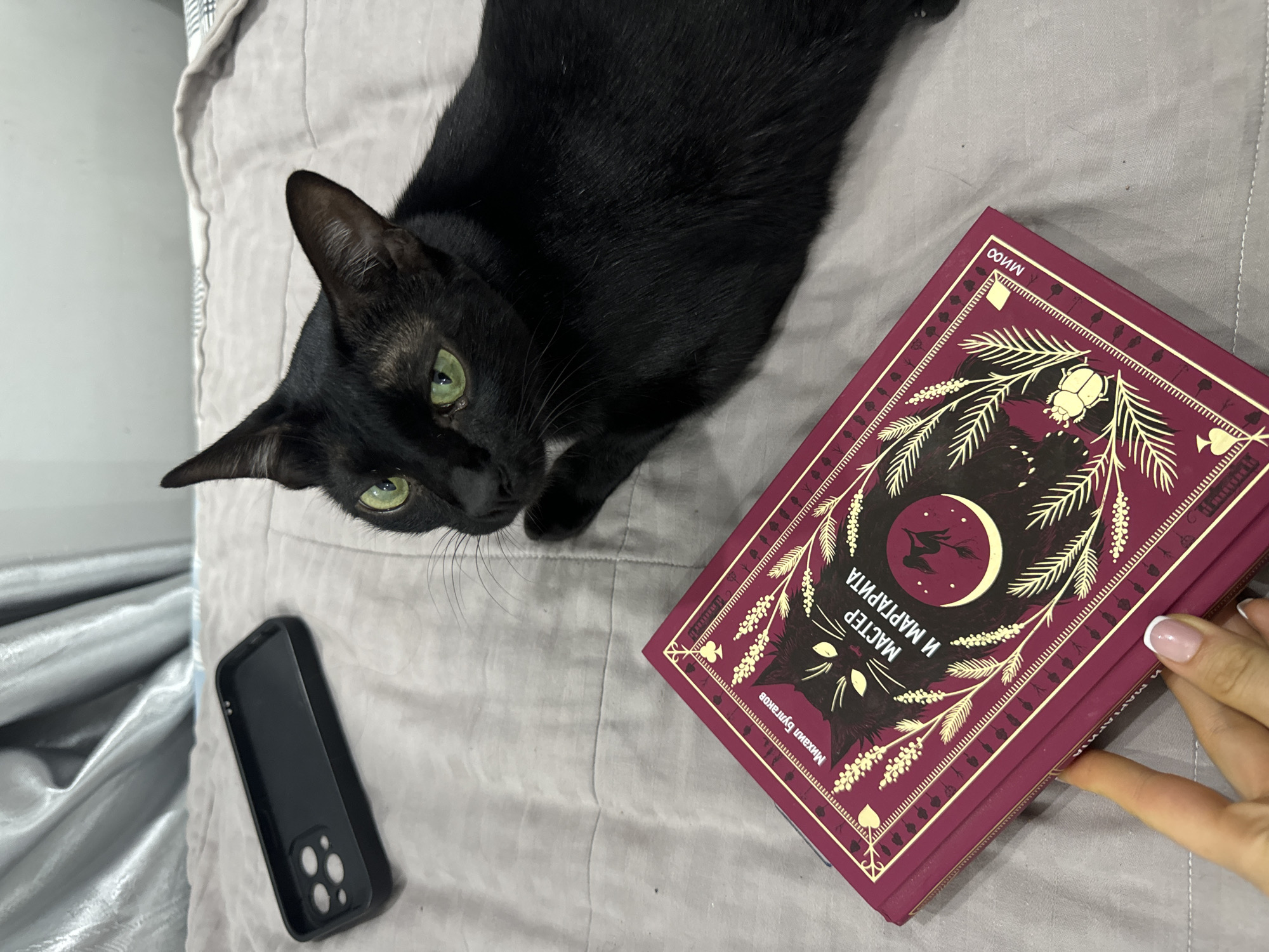 A black cat lies on a gray, quilted bed next to a black phone case and a book. The book has a burgundy cover with gold lettering and illustrations. A hand with a white-tipped manicure is visible at the edge of the book. The environment appears to be a bedroom, with no discernible features indicating a location in Mũi Né, Vietnam.