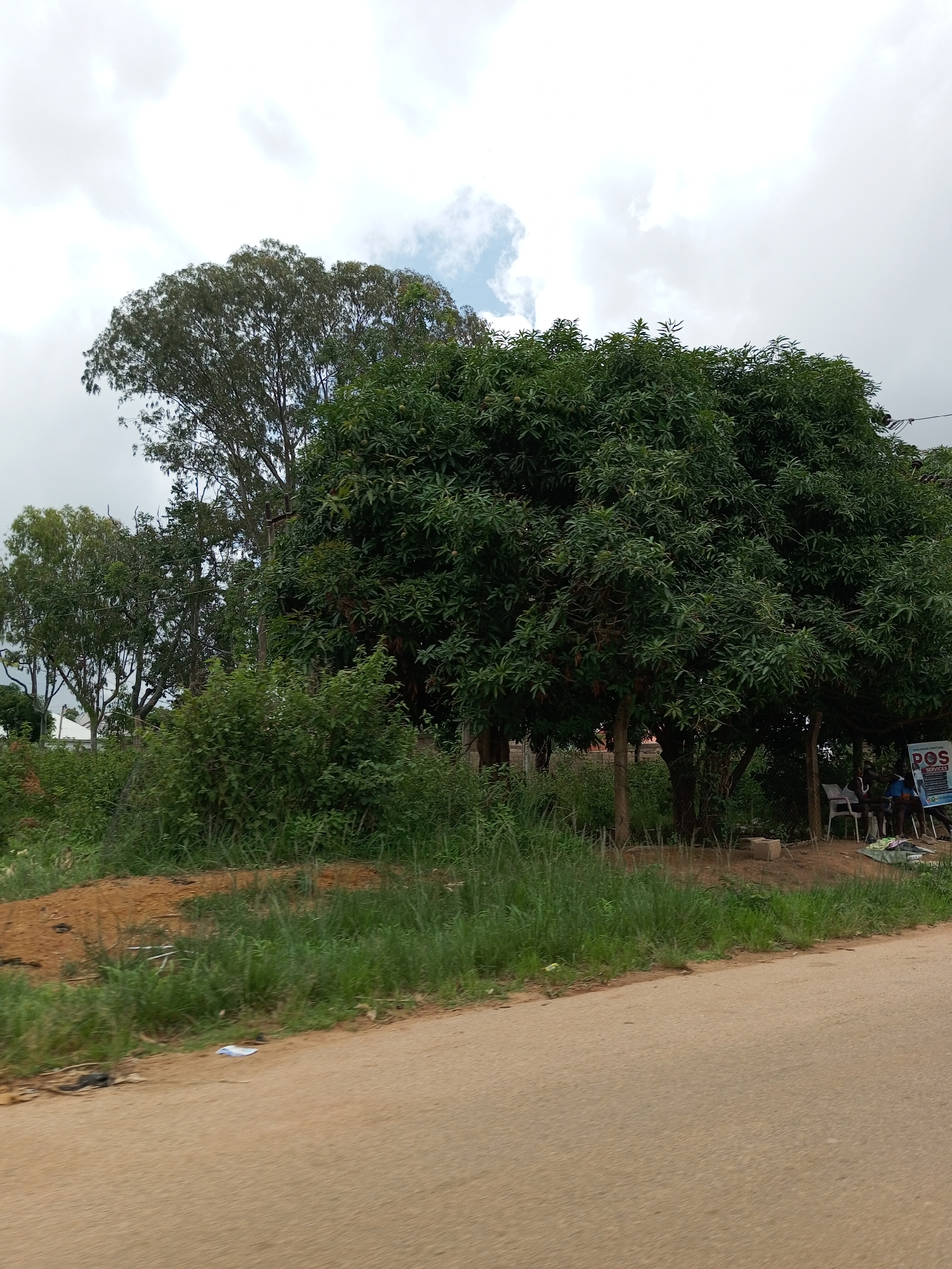This image captures a roadside scene with lush greenery and a cloudy sky. In the foreground, a paved road stretches across the bottom of the frame, with a dirt embankment to its left covered in tall grass. Several large trees with dense green foliage dominate the midground. One particularly large tree on the right provides shade over a small area where several people are seated. A sign is visible behind the seated individuals, with the text "POS SERVICES" clearly legible. The presence of the sign and seated people suggests a service point or small business operating outdoors. Behind the main trees, more trees and some buildings can be seen in the distance, hinting at a semi-rural or suburban environment. The lighting suggests it is daytime, likely overcast due to the cloudy sky. The overall mood is calm and understated, with no strong emotional cues.