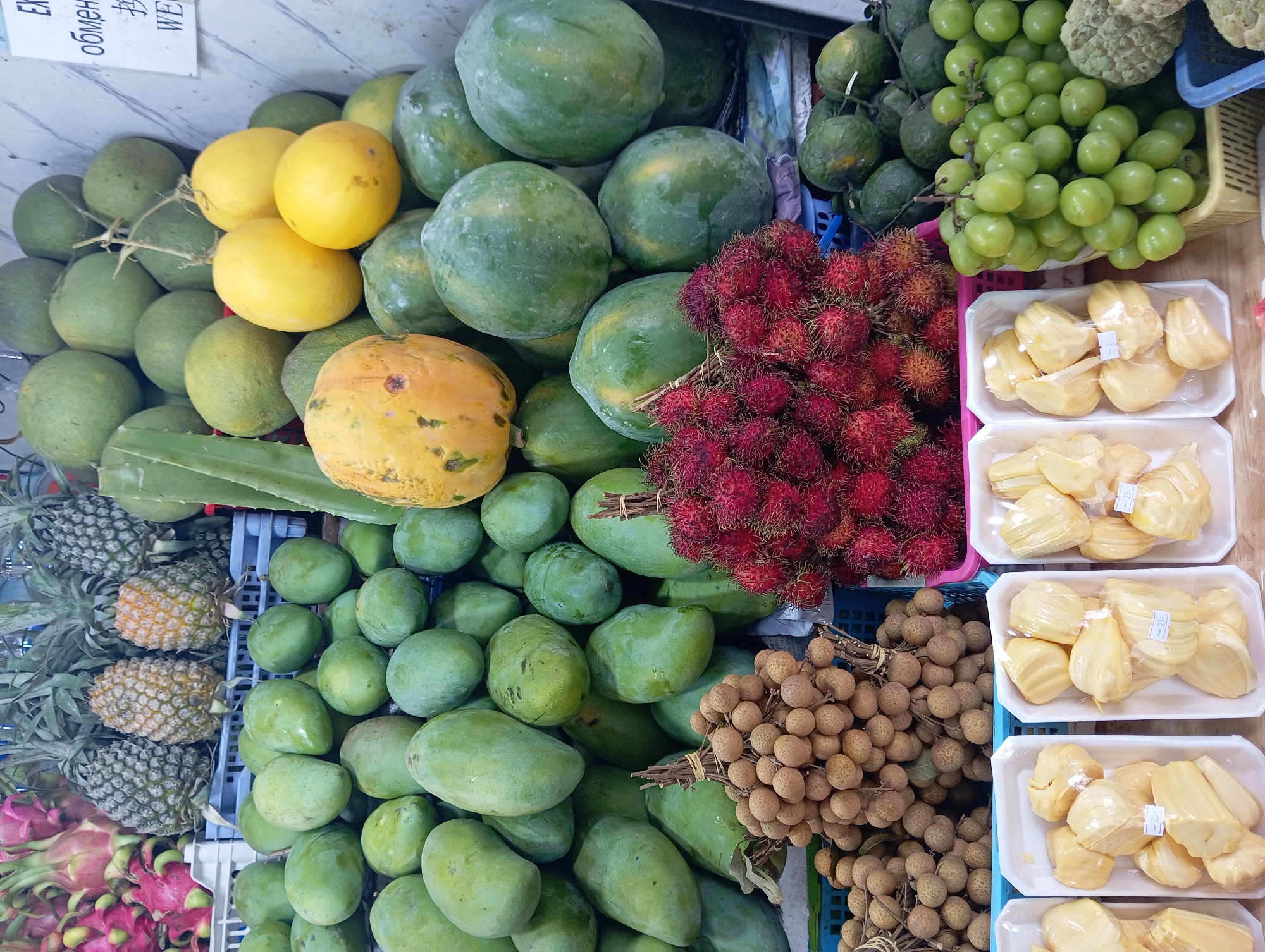 The image depicts a vibrant fruit stall, likely located in Nha Trang, Vietnam, given the variety of tropical fruits common to the region. In the foreground, several white rectangular containers hold pre-cut pieces of jackfruit, each labeled with a price tag of "25". To the right of the jackfruit, a large bunch of green grapes cascades from a basket. Behind these, a pile of rambutan, a spiky red fruit, is displayed in a pink basket, adjacent to bunches of longan, a small, round, brown fruit.
The middle ground is dominated by a large assortment of green mangoes, some ripe and yellowish, piled high. Interspersed among the mangoes are several papayas, one prominently yellow and ripe, others green and unripe. Further back, a collection of green, spherical fruits, possibly pomelos or other citrus, are stacked. A few stalks of aloe vera are visible leaning against the fruit.
The background showcases a row of pineapples, some green and others with yellowing skin, and to the left, a display of dragon fruit with vibrant pink exteriors and green tips. The stall appears to be set up outdoors or in an open-air market, with a textured, possibly concrete or tiled wall behind the fruits. A small white sign with some Asian characters and the word "WE" is partially visible on the wall. The overall impression is a bountiful display of fresh, ripe, and exotic fruits, characteristic of a bustling Vietnamese market.