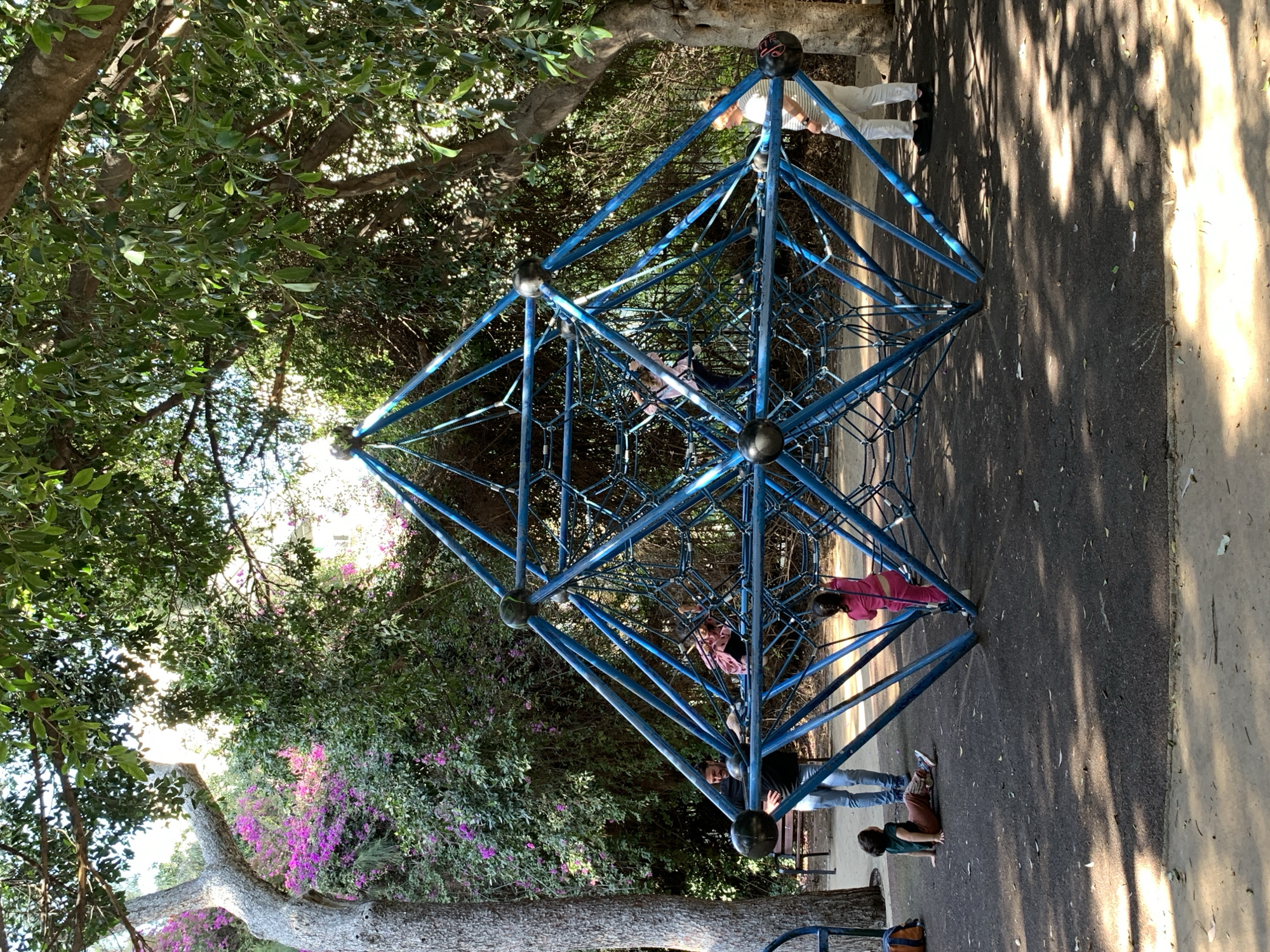 Here's a description of the image:
**Setting:** An outdoor playground located in Tel Aviv, Israel, during daytime.
**Objects:** The central structure is a large, geometric climbing frame constructed of blue metal bars and rope netting. There is a paved ground surface around the climbing frame and patches of sunlight and shade cast by surrounding trees. A portion of a tree trunk and flowering foliage is also visible.
**People:** There are several people visible, including children climbing and playing on the climbing frame. Adults can be seen standing nearby, presumably supervising the children.
**Actions and Interactions:** The children are interacting with the climbing frame, climbing and playing. The adults are standing and observing the children.
**Additional details:** The scene suggests a relaxed, recreational environment typical of a public park or playground.