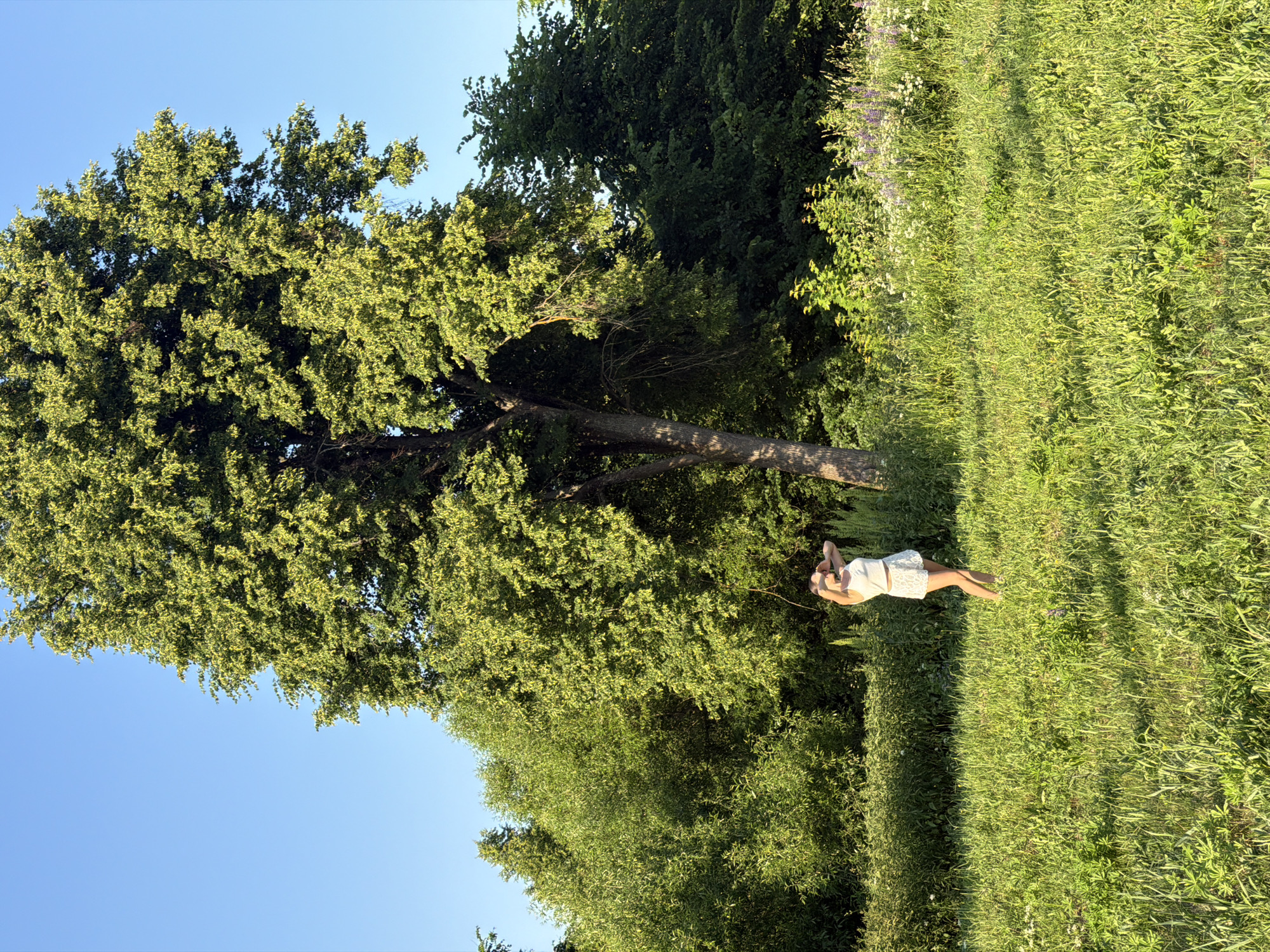 The image depicts a young woman standing in a grassy field with a large tree behind her. The woman is wearing a white top and shorts and has her hands clasped behind her head. She is facing away from the camera and is positioned to the left of the tree's trunk. The field is covered in green grass and wildflowers. The background is filled with lush green trees and a clear blue sky. The overall scene suggests a sunny day in a natural outdoor setting. The location is specified as Krasny Mayak, Russia.