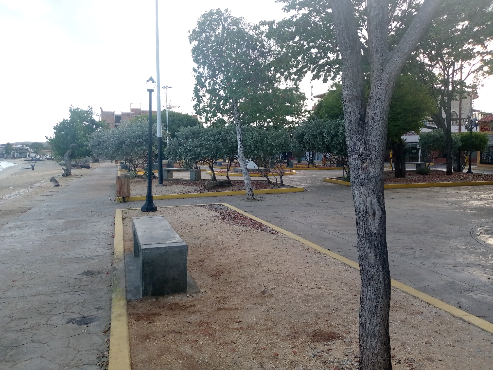 The image depicts an outdoor scene featuring a paved walkway, a sandy area with scattered red pebbles, and several trees. In the foreground, a large tree trunk with rough bark stands prominently. A concrete bench is visible on the left side of the frame, set within the sandy area. A lamppost with an ornate top is also present near the bench.
Further in the background, a row of trees with lush green foliage lines a paved area. There are more benches and lampposts visible in this section, suggesting a park or public square. Buildings with visible windows and some construction elements are present in the distance. On the far left, a beach with several small boats can be seen, with a person walking along the shoreline. The sky is overcast, indicating a cloudy day. The overall impression is a somewhat deserted public space, possibly a waterfront promenade, with a calm and quiet atmosphere. No visible text is present in the image.
