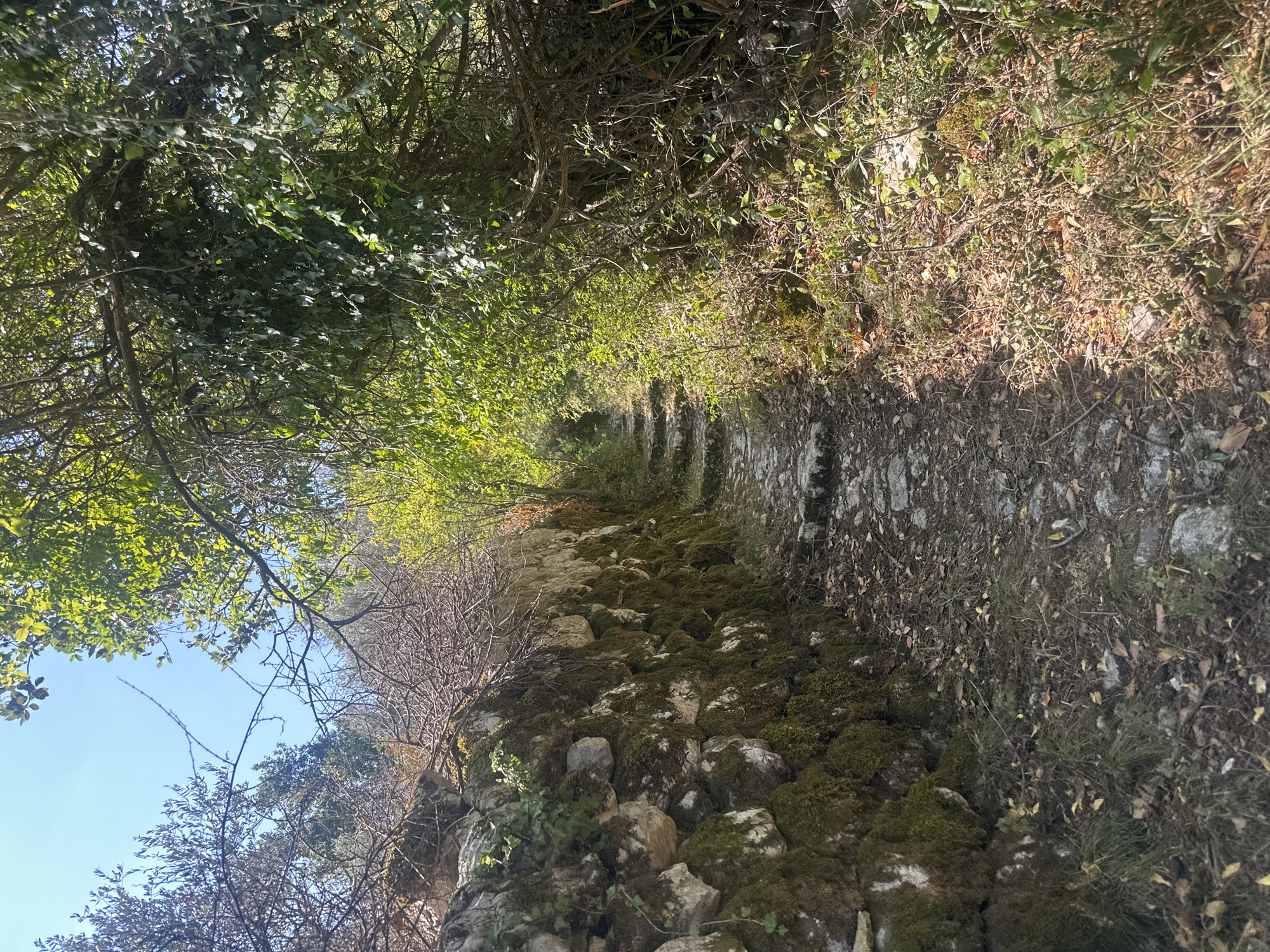An outdoor, eye-level, full shot captures a stone path winding uphill through a dense, sun-dappled forest in Prčanj, Montenegro. The path is made of irregular, grey stone slabs. To the left, a moss-covered, dry-stone wall runs parallel to the path, disappearing into the trees. Overhanging branches with vibrant green leaves form a canopy above the path, creating areas of light and shadow. The ground on either side of the path is covered with fallen leaves, dry grass, and some small plants. The overall impression is one of a secluded, natural trail.