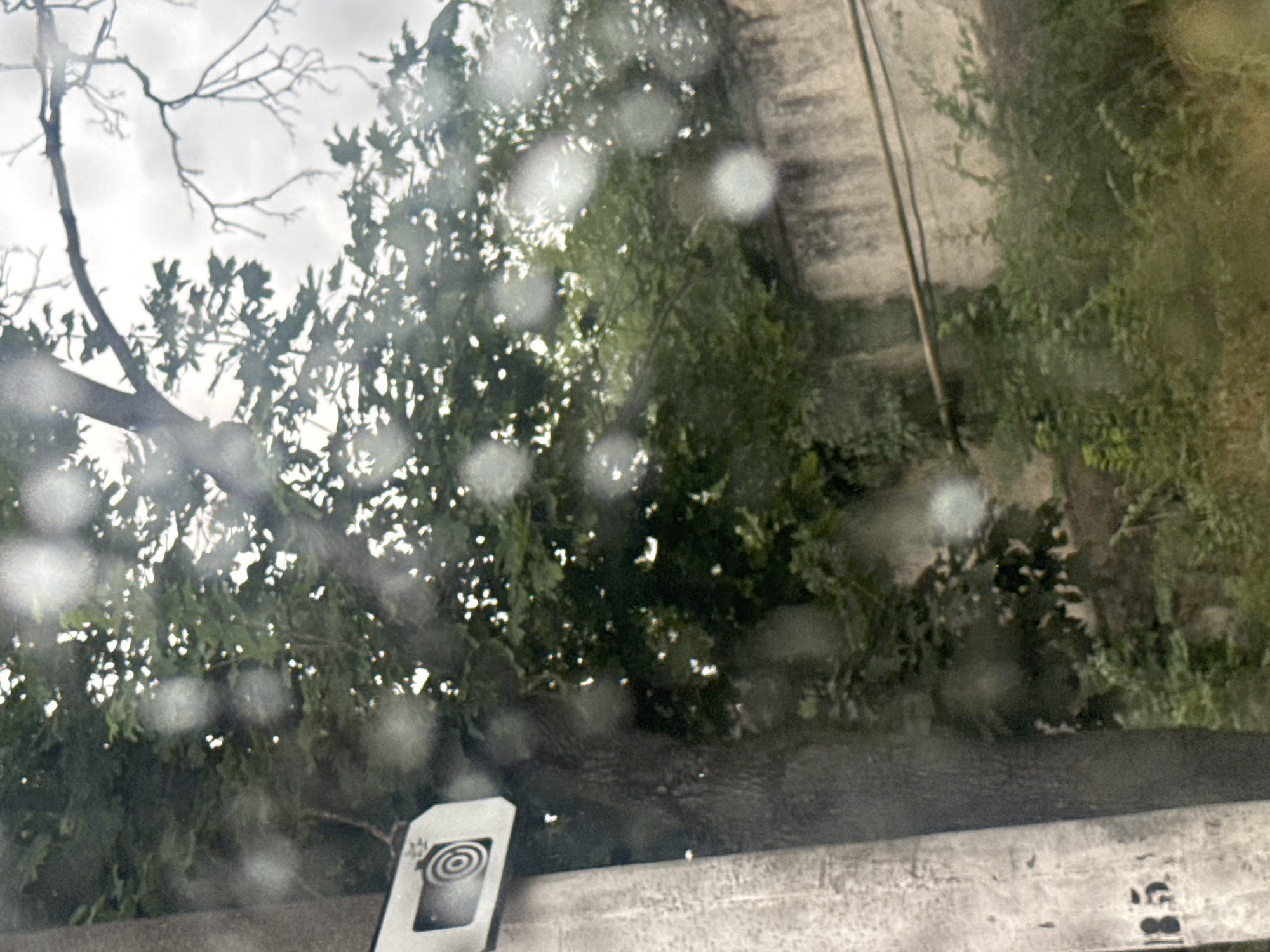The image captures a view through a wet window, likely from a vehicle, showing an outdoor scene in Tiraspol, Moldova. In the foreground, a concrete pole with faded black markings, including the number "185," is visible on the left. Attached to the pole is a white rectangular device with a circular target-like symbol. Beyond the pole, lush green foliage from trees dominates the midground, with sunlight filtering through the leaves. In the background, a textured, light-colored wall extends horizontally, with two thin wires or pipes running across it. The overall impression is of a somewhat overgrown urban environment under an overcast sky, possibly during or after a rain shower, given the water droplets on the viewing surface.