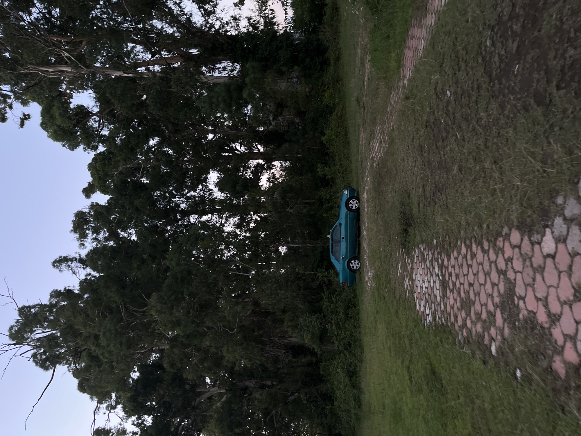 The image depicts an outdoor scene with a turquoise sedan parked on a dirt path. The car is positioned on the right side of the path, facing left. In the background, a dense forest of tall trees with lush green foliage dominates the landscape. The sky above is a pale blue, suggesting either early morning or late evening. The foreground features a grassy area with a paved pathway made of reddish-brown interlocking bricks. The environment appears to be a park or a rural setting. The specific location is described as being in the city of Ureki, Georgia, though no distinct landmarks identifying this precise location are visible in the image. There are no people or animals present.