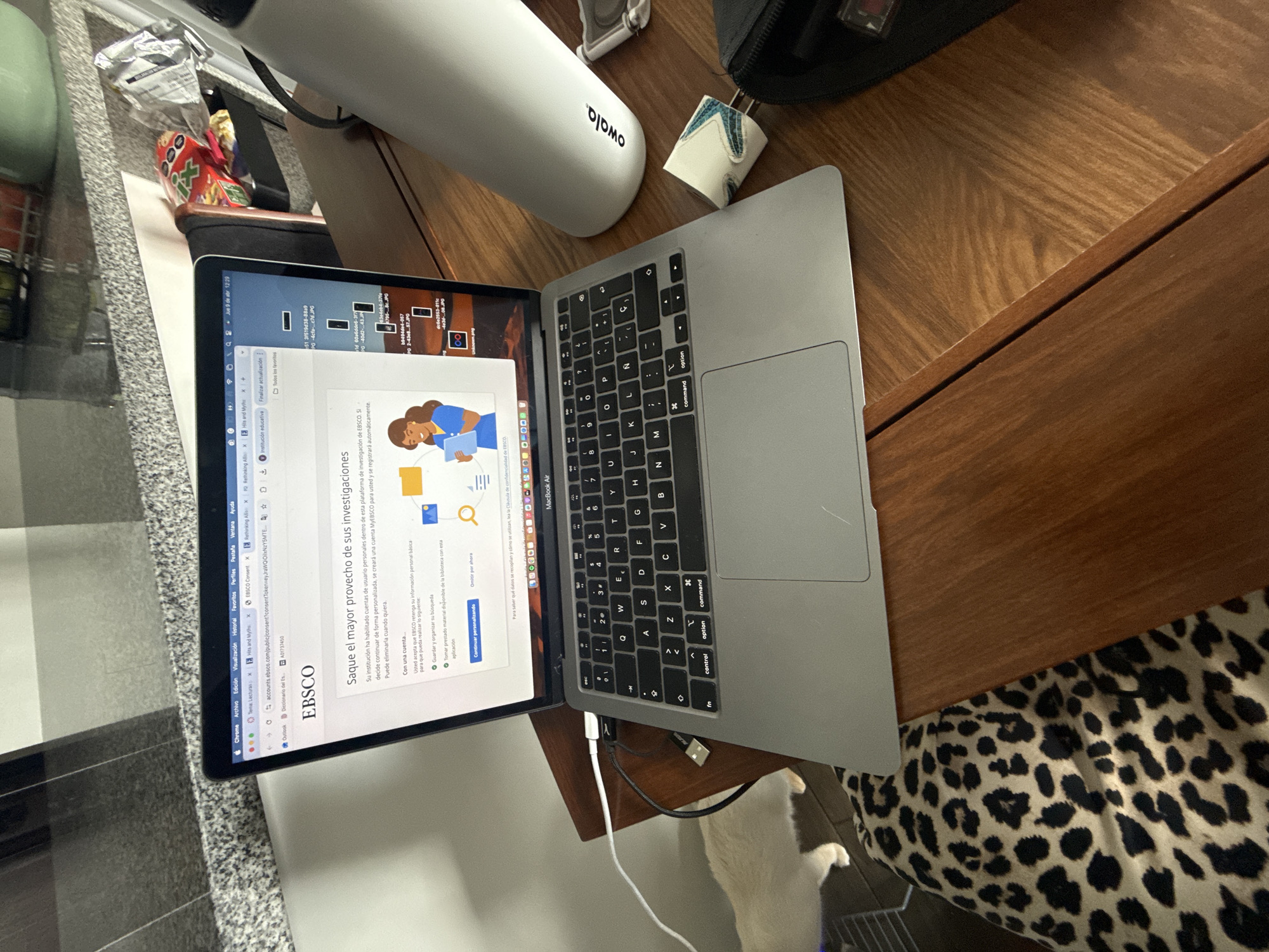 The image shows a silver MacBook Air open on a wooden desk, displaying the EBSCO website in Spanish. The desk is also occupied by a white Owala water bottle, a black zippered case, and a white charger. The MacBook is plugged into a white charging cable. A small portion of a leopard-print patterned fabric is visible on the right side of the image. In the background, there is a glimpse of a kitchen area with a granite countertop. A small, white cat is partially visible next to the desk.
