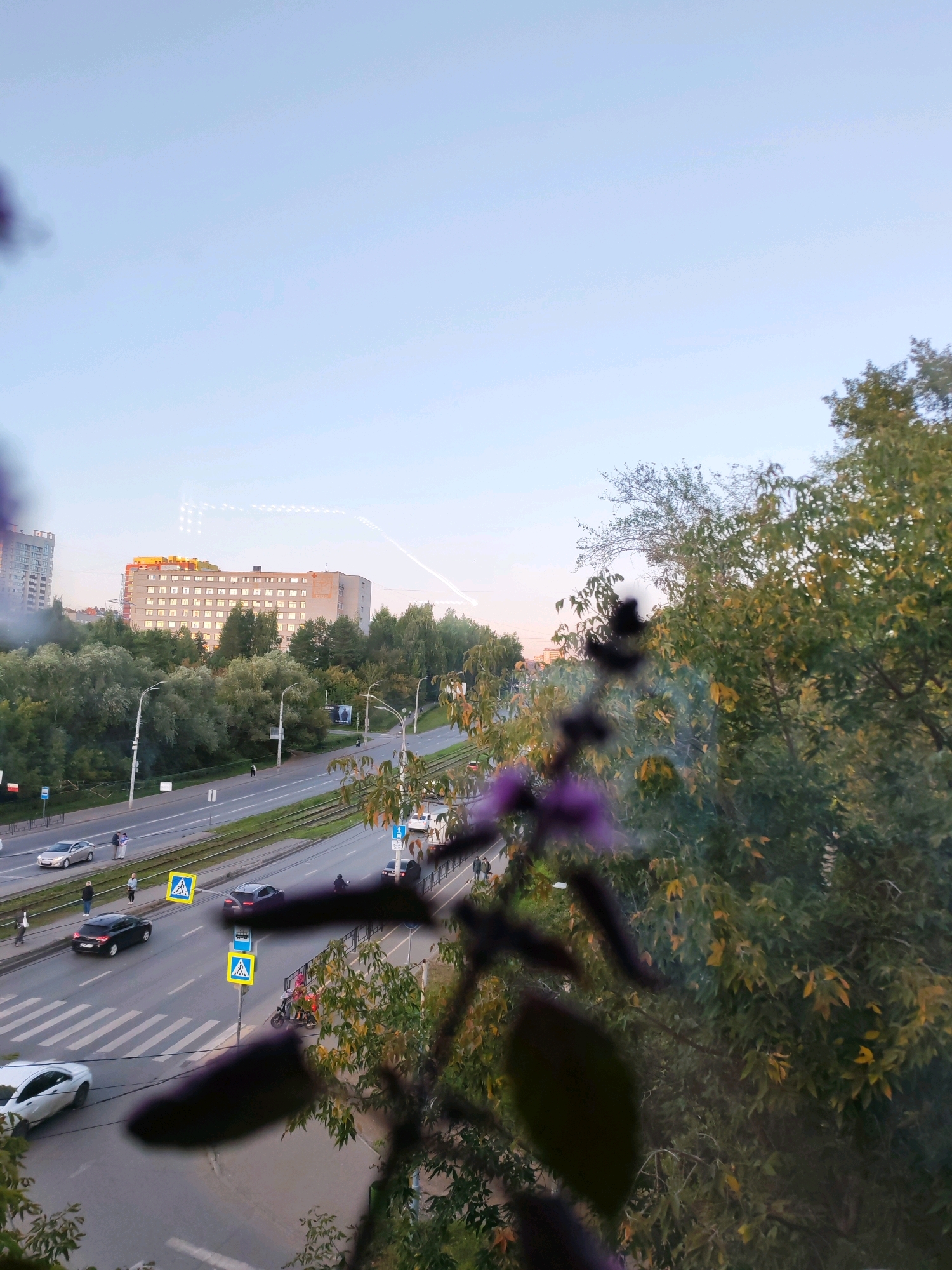 The image depicts a view of a street in Izhevsk, Russia, looking towards a multi-story building and a road with traffic. In the foreground, blurred purple flowers and leaves are visible, obscuring parts of the scene. A road runs horizontally across the mid-ground, with vehicles including cars and a scooter with passengers. Pedestrians are present on the sidewalks and crossing the street at a marked crosswalk. Streetlights and traffic signs are also visible. A large, rectangular building with many windows is situated behind the road, surrounded by trees. The sky above is clear and pale blue, with some faint light trails, possibly from aircraft or atmospheric phenomena. The overall impression is of an urban environment with a touch of nature, viewed from a slightly elevated perspective.