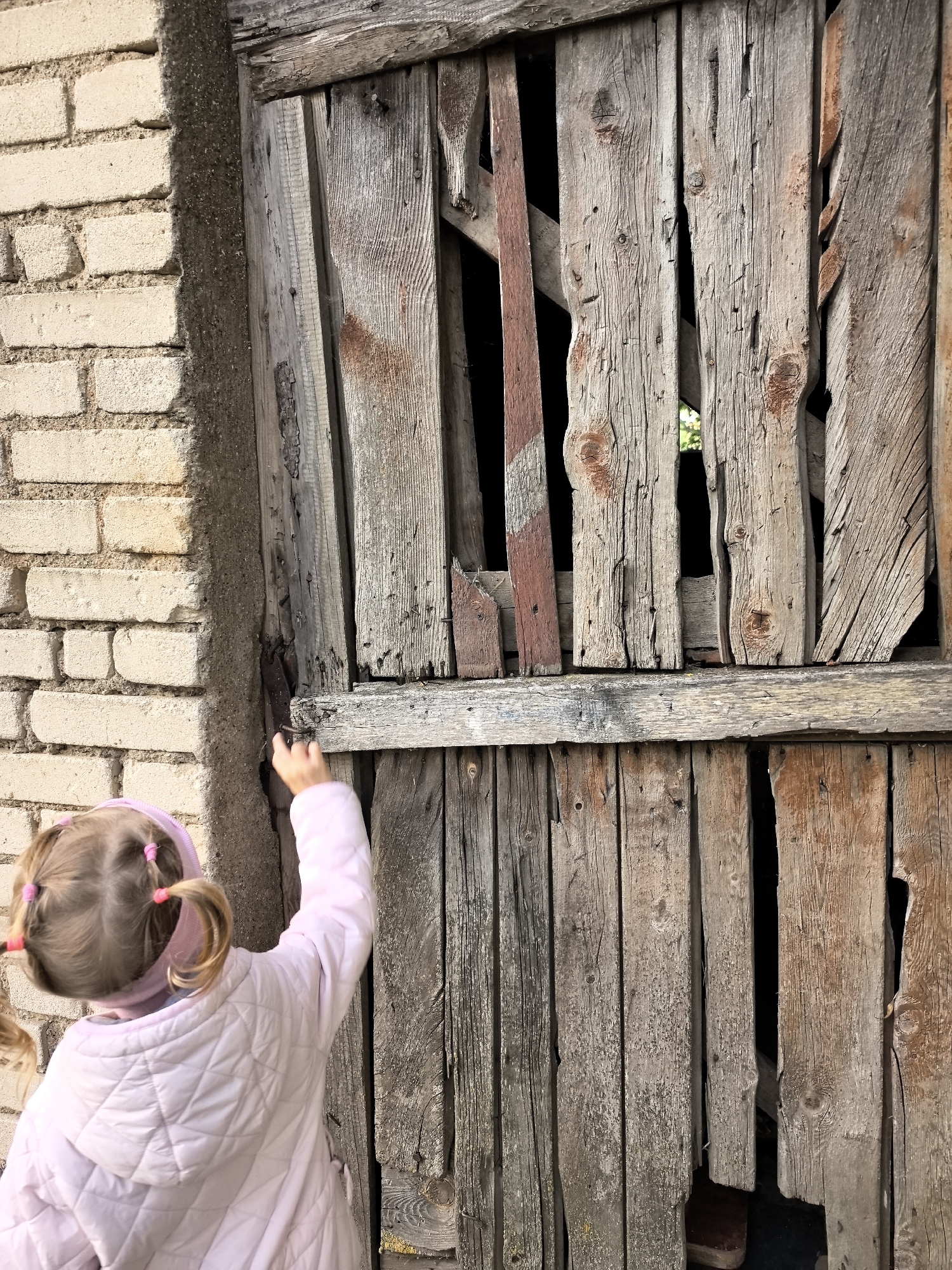 In an outdoor scene, a young child with blonde hair in pigtails, wearing a pink jacket and headband, reaches out a hand toward a dilapidated wooden door. The door is constructed of vertical wooden planks, some of which are broken or missing, revealing dark openings behind. The wall to the left of the door is made of light-colored brick with rough concrete mortar. The lighting suggests it is daytime.
