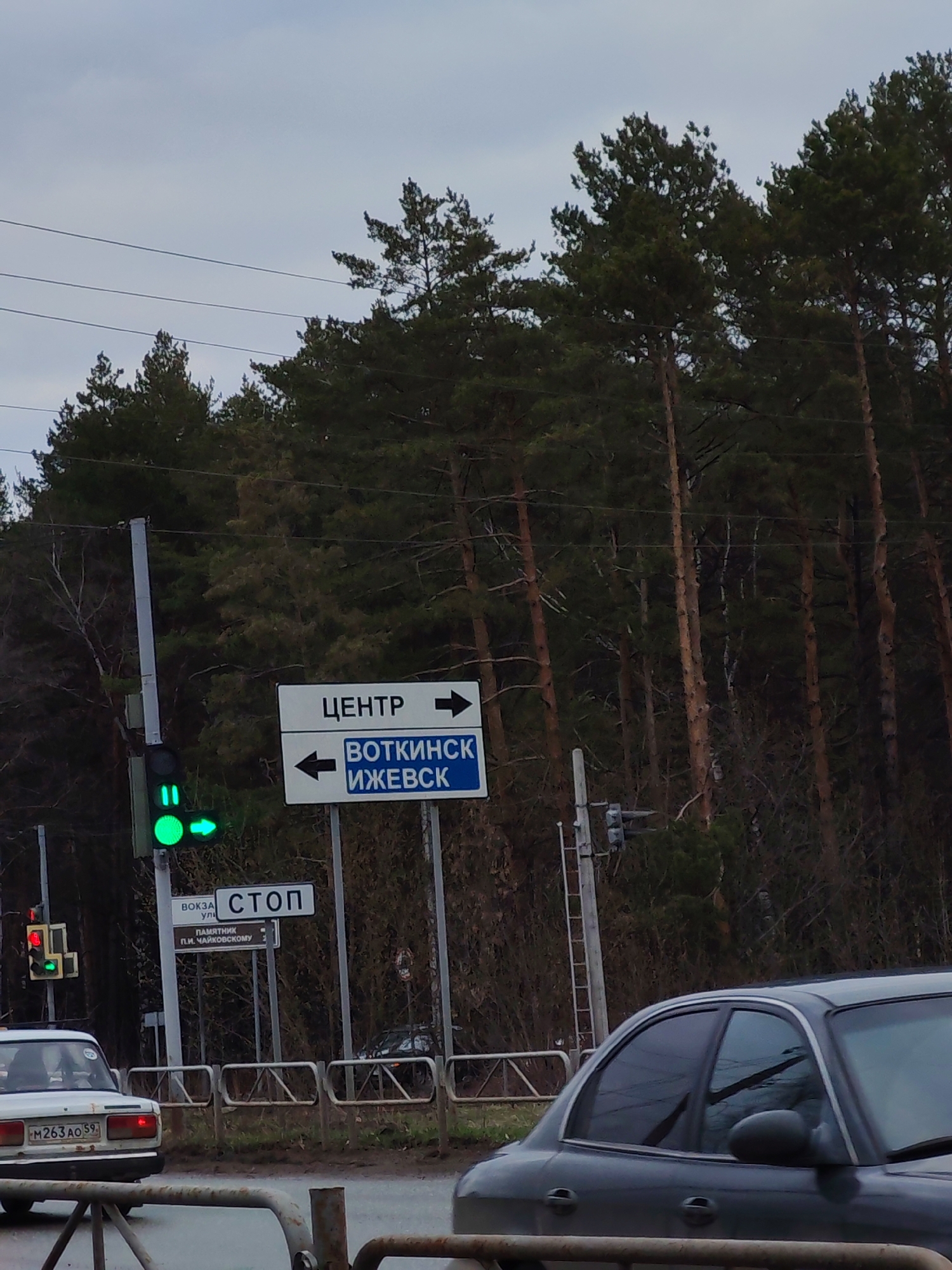 An outdoor, eye-level photograph captures a street scene in Chaikovsky, Russia, on an overcast day. In the foreground, parts of two cars are visible: a white sedan on the left with a partially obscured license plate "M263AO 59", and a dark sedan on the right, seen from its side. Both cars appear to be stopped.
The central focus is a set of road signs and traffic lights. A main white rectangular sign with blue elements directs traffic. The top line reads "ЦЕНТР" (Tsentr - Center) with a right-pointing arrow. Below it, a blue rectangle contains "ВОТКИНСК" (Votkinsk) and "ИЖЕВСК" (Izhevsk) with a left-pointing arrow, indicating directions to these cities. To the left of this sign, a traffic light is illuminated green with a green arrow pointing left, suggesting a left turn is permitted. Another traffic light below it shows a red circle.
Further down and to the left of the main sign, a smaller white sign displays "СТОП" (Stop). Beneath it, another sign is partially visible, showing "ВОКЗАЛ" (Vokzal - Station), "УЛ." (Ul. - Street), and "ПАМЯТНИК П.И. ЧАЙКОВСКОМУ" (Pamyatnik P.I. Chaikovskomu - Monument to P.I. Tchaikovsky).
Behind the signs and traffic lights, a dense forest of tall, slender pine trees dominates the background under a pale, cloudy sky. A metal barrier runs along the roadside in the mid-ground. The overall mood is subdued due to the grey sky and the late autumn or early spring bare branches among the evergreens.