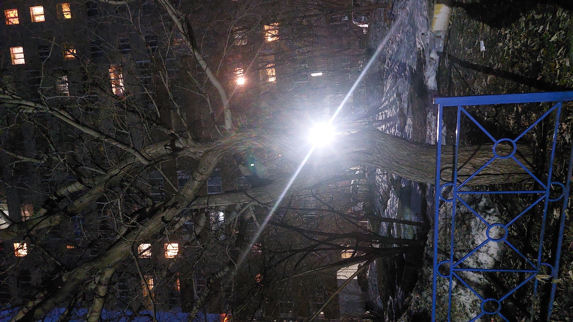 A night scene in Novosibirsk, Russia, presents an illuminated tree in front of an apartment building. The building has several lit windows. A blue, geometric-patterned fence is on the right, with snow and leaves on the ground. The overall lighting is dim with a bright light source near the tree.