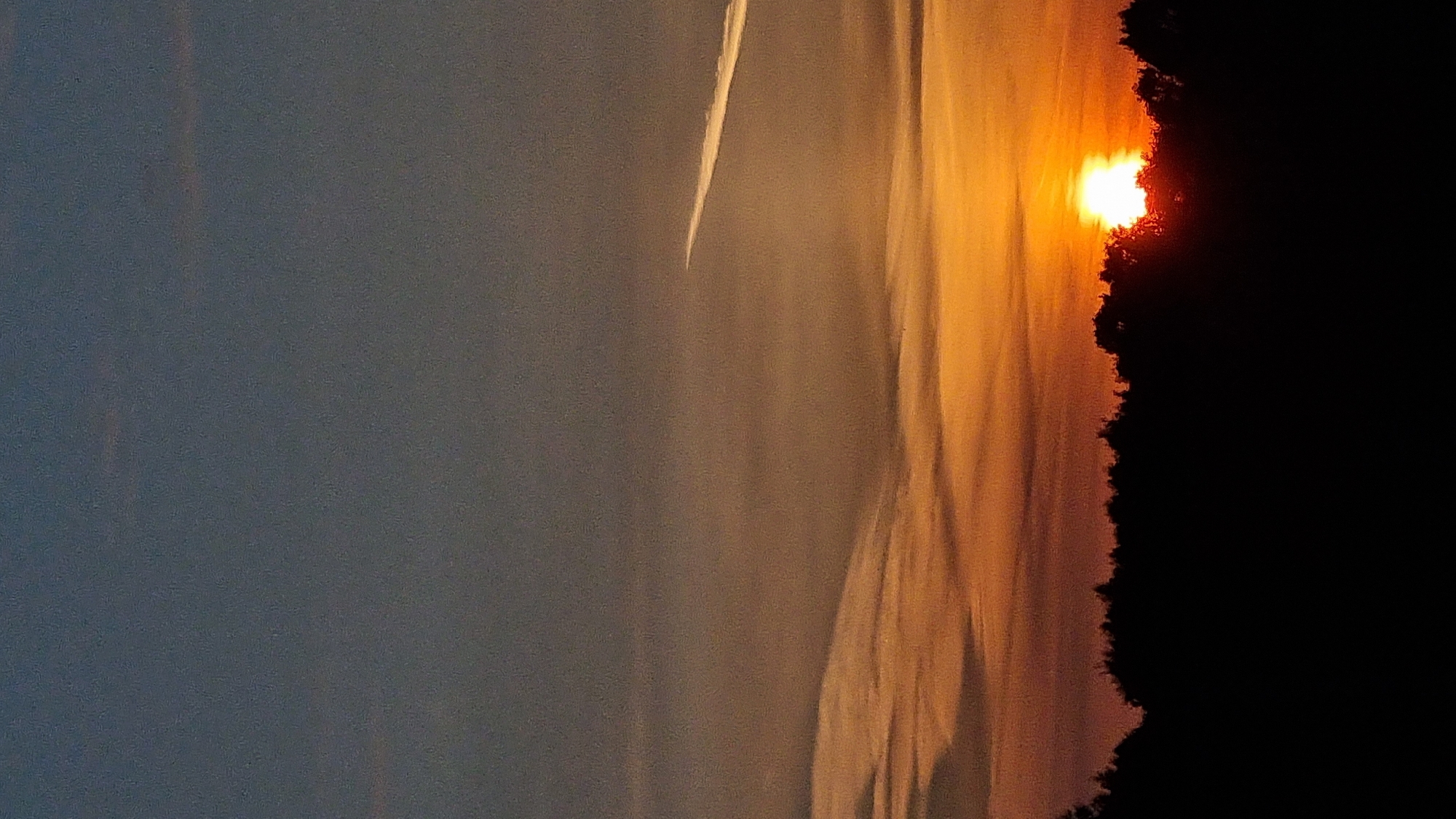 A vertical, low-angle shot captures a sunset over a silhouetted tree line in Vysokoe, Russia. The sky transitions from a deep, dusky blue at the top to warm oranges and yellows near the horizon. A thin, white contrail from an aircraft stretches diagonally across the upper right portion of the frame. The setting sun, a bright, intense orb, is partially obscured by the dark, jagged silhouettes of trees forming a dense forest at the bottom of the image. The scene depicts a natural landscape at dusk, devoid of any human presence.