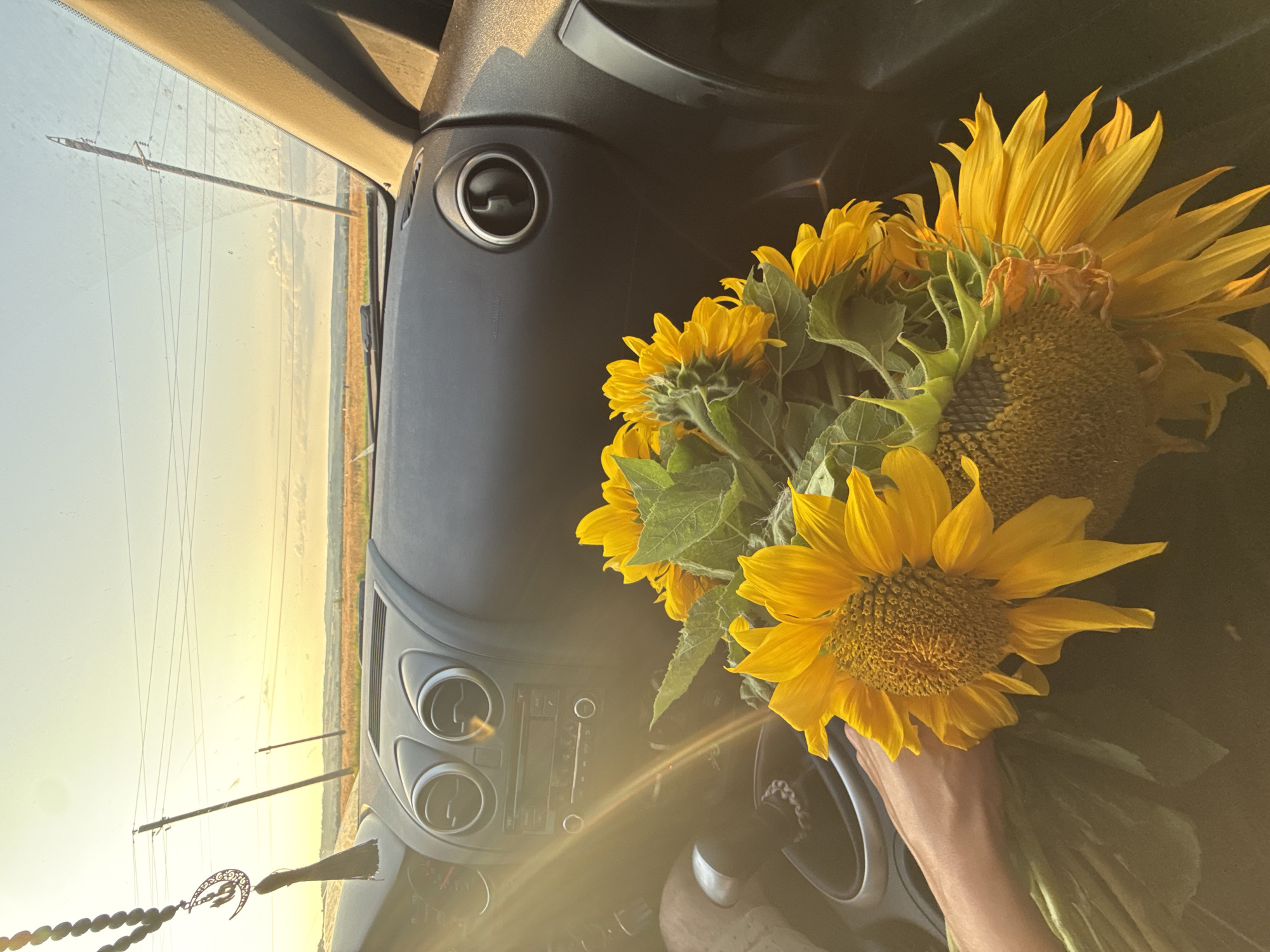 This is a photograph taken inside a vehicle, likely in or near the city of Kuyeda, Russia, during daylight hours. The sun is low in the sky, casting a warm, golden light that creates lens flare across the dashboard. In the foreground, a bouquet of bright yellow sunflowers is held by a person whose arm is visible on the left side of the frame. The sunflowers dominate the lower half of the image, with their petals and green leaves prominent.
The interior of the car includes the dashboard with air vents and a central console with a car stereo system. A gear shifter is also visible. Hanging from the rearview mirror is a string of dark beads with an Islamic crescent moon charm.
Through the windshield, a rural landscape is visible, featuring fields of grain or grass, rolling hills, and power lines supported by wooden poles. The sky is a pale yellow and blue, indicative of sunset or sunrise. The overall impression is one of a tranquil journey through the countryside, with the sunflowers adding a touch of natural beauty to the scene.