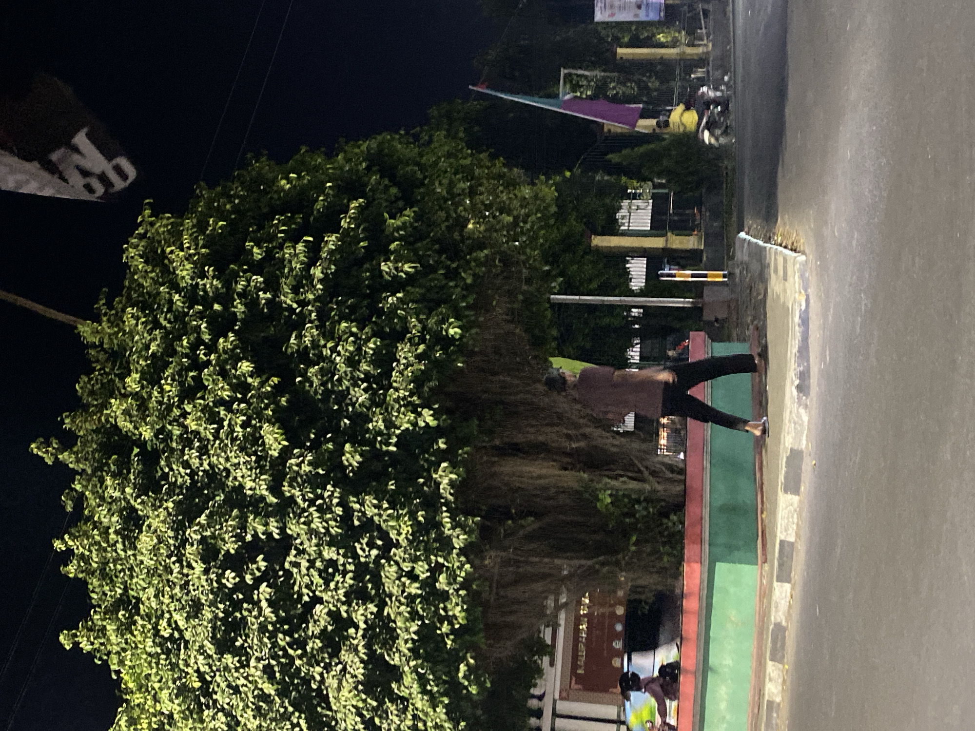 The image depicts an outdoor scene at night in Kasihan, Indonesia, likely near a public space or road. A large, mature tree with dense foliage dominates the left side of the frame, its branches illuminated by artificial light, casting a greenish glow. Hanging aerial roots are visible from the tree's lower branches. In front of the tree, a red and green planter box runs along a paved walkway.
A person, seen from the back, is walking along the walkway wearing dark pants and a maroon shirt. Their feet are bare, wearing sandals. To the left of this person, a portion of a colorful mural or display is visible on a wall, featuring a person in a red top.
Further to the right, a flag with purple and green sections is attached to a pole. Beyond the walkway, a fence with vertical bars is visible, and behind it, structures suggesting a building or compound. A small, conical evergreen tree stands near the fence.
On the road to the right, a person on a motorcycle, wearing a yellow shirt, is moving away from the camera. The road surface is asphalt, and a sidewalk with a curb is present. The overall lighting suggests it is nighttime, with streetlights or building lights illuminating the scene. The presence of a large tree and a nearby building indicates a potentially urban or semi-urban setting within Kasihan.