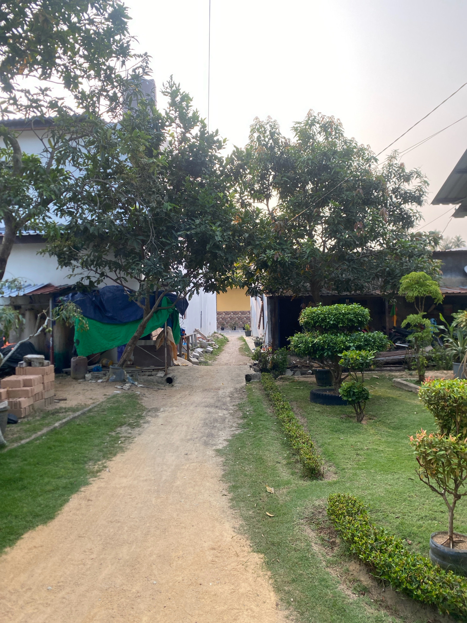 The image depicts a narrow dirt path leading through a residential area in Batam, Indonesia. On the left, a white building with a corrugated metal roof is partially visible, with stacks of bricks and construction materials nearby. A large tree with dense green foliage extends over the path. To the right of the path, a well-maintained lawn features several potted plants and small, manicured trees, including a prominent topiary. Further down the path, a motorcycle is parked in front of a structure with a tin roof. The overall scene suggests a humble, possibly rural or semi-urban, setting within the city. The sky is overcast and bright.