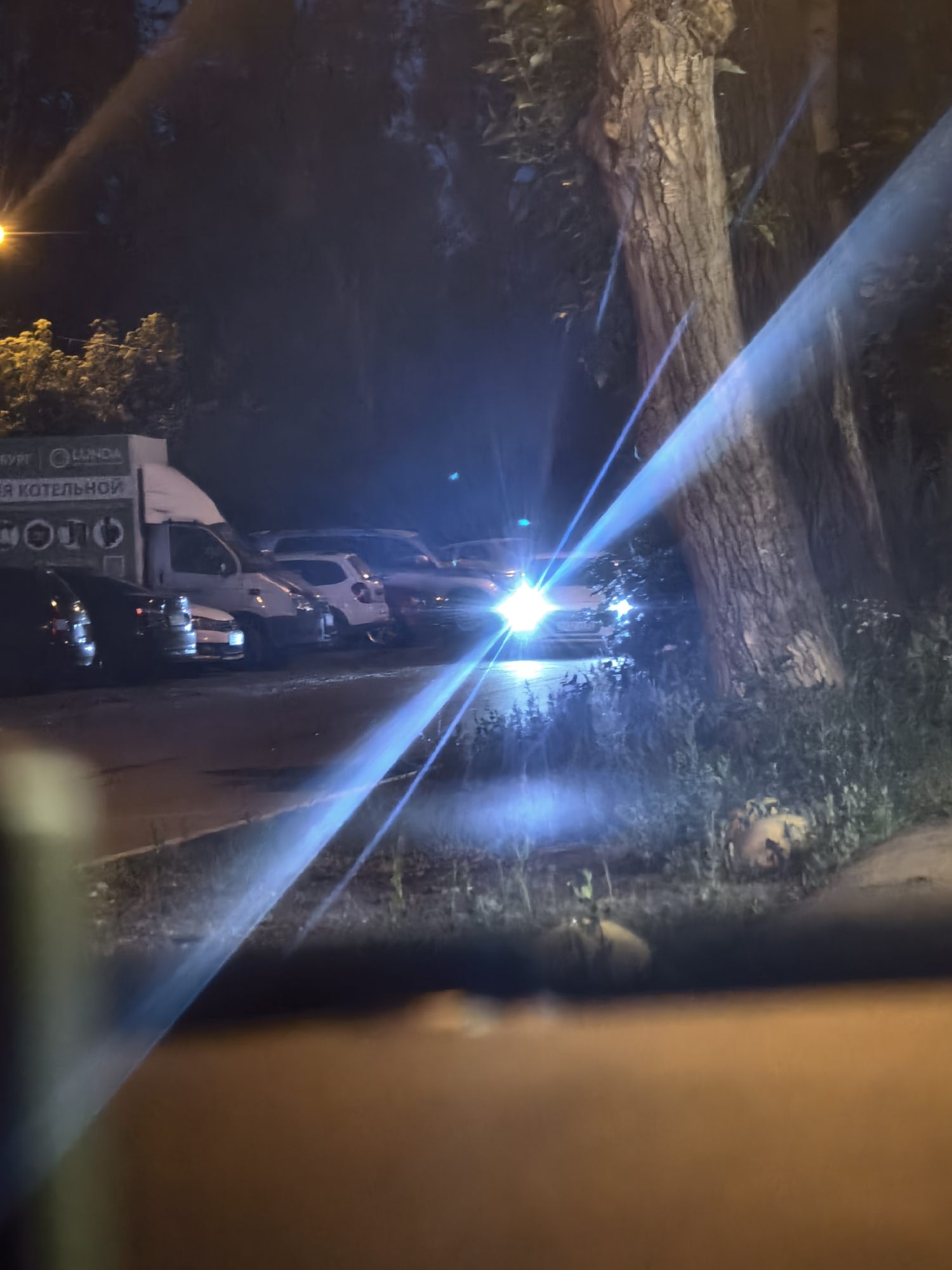 A nighttime outdoor scene features a parked white truck with lettering on its side. Several cars are parked behind it. A bright light, possibly from a car's headlights, illuminates the scene, creating a lens flare effect that streaks across the image. A large tree trunk is visible on the right side of the frame, with foliage and vegetation surrounding its base. A portion of a road or pavement is in the foreground, with some indistinct objects or debris on the ground. The overall lighting is dim, with the bright light source dominating the visual field.