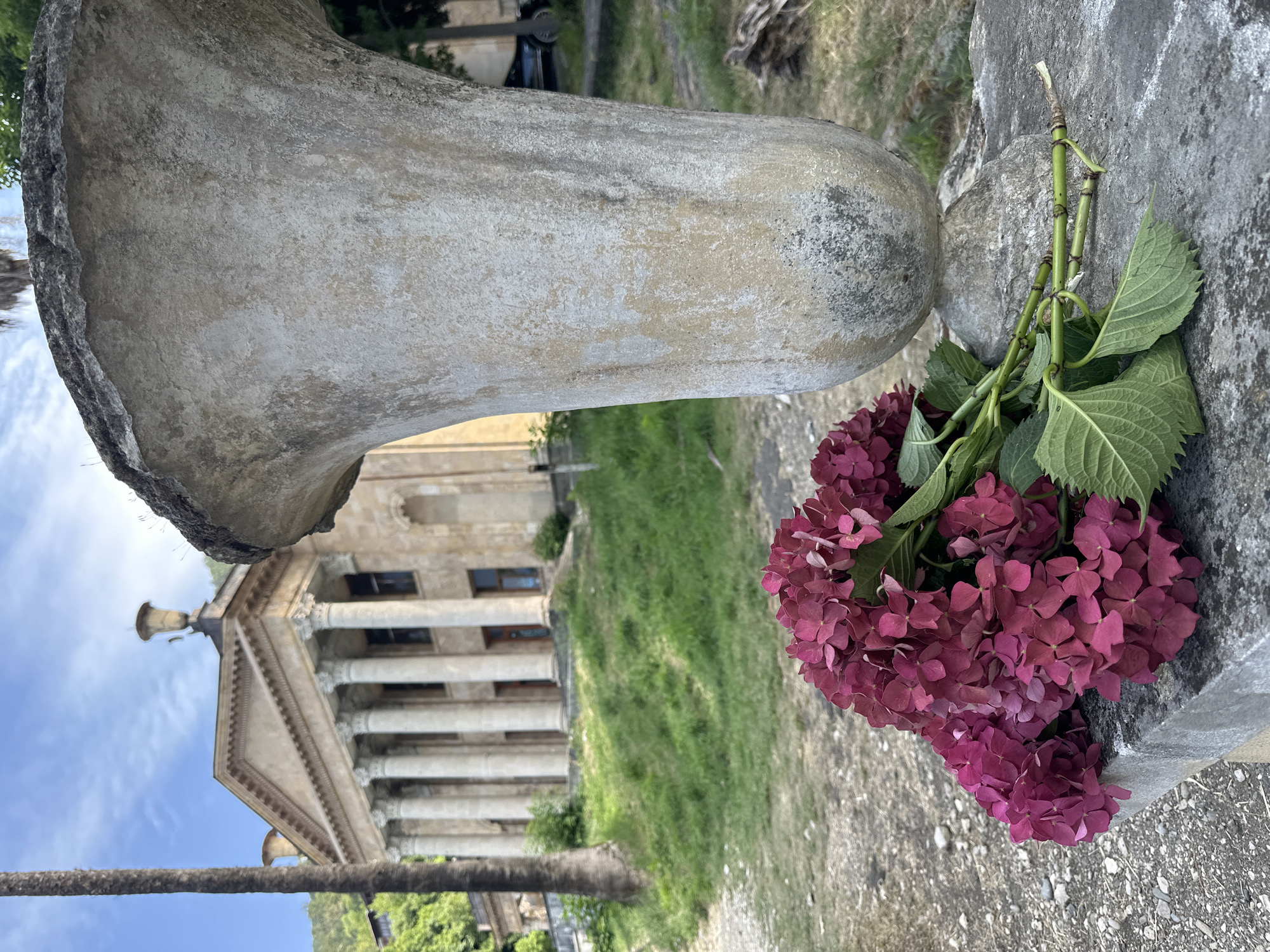 A bouquet of deep pink hydrangeas lies on a stone ledge in the foreground. To the right of the flowers is a large, weathered concrete urn. In the background, a grand, old building with columns and a classical facade stands on a grassy incline. A tall palm tree is visible to the left of the building. The sky above is partly cloudy. The setting appears to be the grounds of an abandoned or historic estate in Abkhazia, potentially in or near Abaata given the architectural style and lush vegetation. There are no people visible in the image.