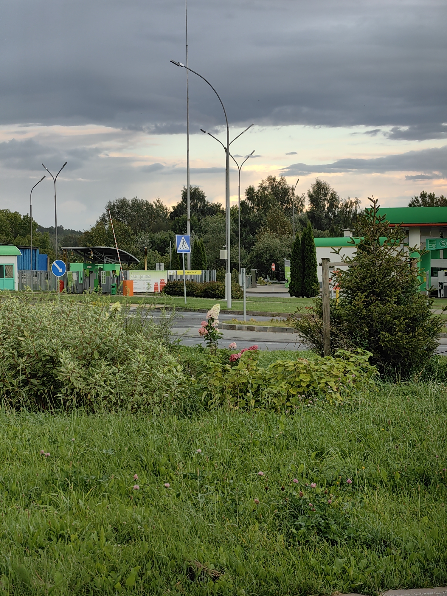 The image depicts an outdoor scene that appears to be a gas station or service area located in the city of Myadzyel, Belarus. In the foreground, lush green grass and some flowering plants, including pinkish flowers, are visible. Behind the vegetation, a road separates the foreground from a service area. This service area features a green-roofed building with white walls, a gas pump area with a green canopy, and a red and white striped barrier arm. Several streetlights with curved arms are positioned in the scene. A blue directional sign with a white arrow pointing left is mounted on a pole. Further back, there is a pedestrian crossing sign with a blue square and a white figure walking. The background consists of a dense line of trees under a cloudy sky, with hints of pastel colors suggesting either sunrise or sunset. The overall impression is that of a quiet service area on the outskirts of the city, perhaps during a transitional time of day.
