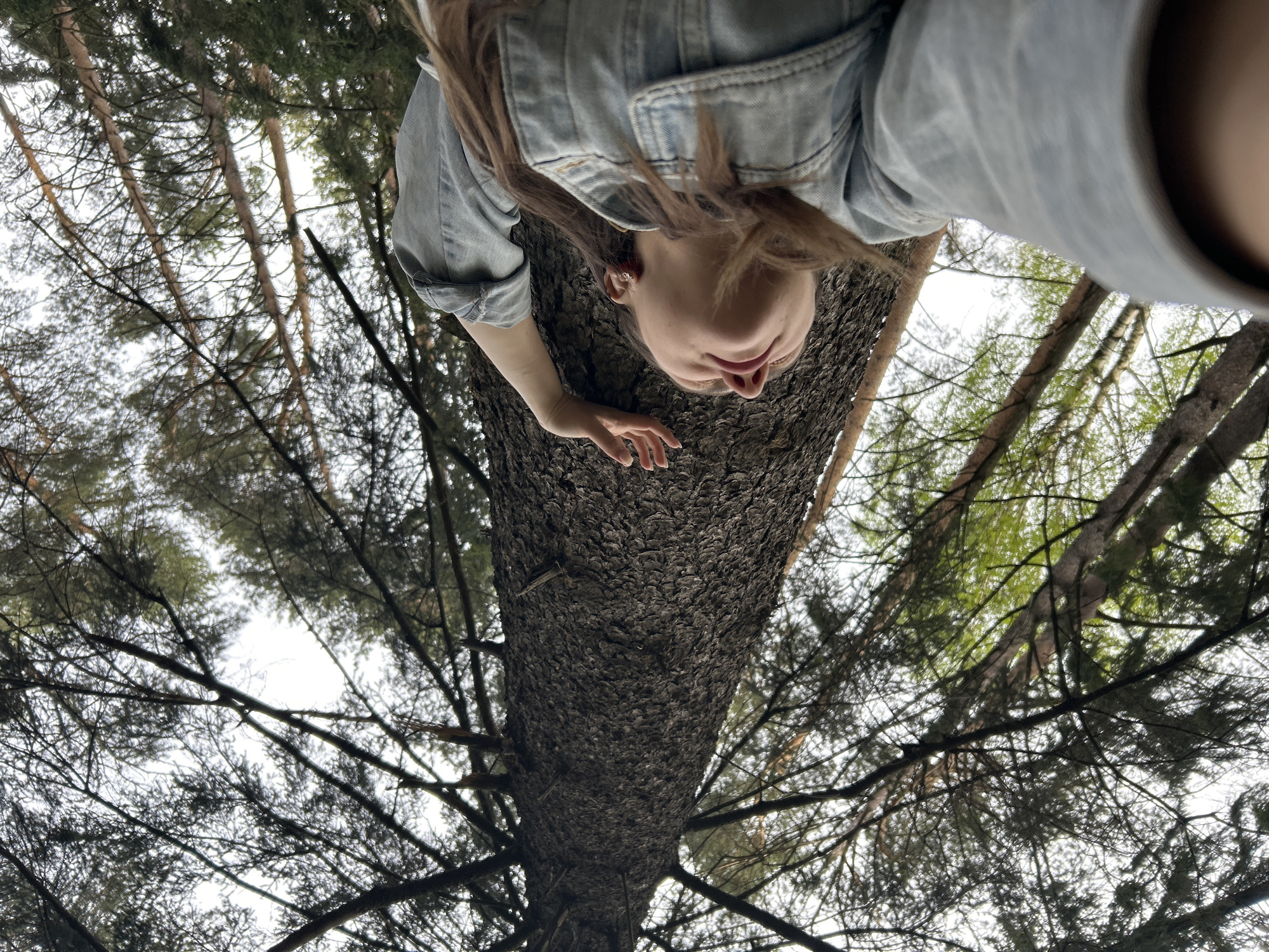 The image depicts a low-angle shot, looking up at a woman standing next to a tree. The camera is positioned at the base of the tree, creating a distorted perspective where the tree trunk appears to tower above. The woman, positioned in the upper part of the frame, is wearing a light blue denim jacket and has long brown hair. Her right hand gently rests on the tree trunk. The tree itself is tall and thick, with textured bark. Surrounding the tree, numerous branches with sparse foliage reach towards the sky, creating a dense network of lines against the overcast sky.
While the exact location in the city of Chaikovsky, Russia, is not explicitly discernible from the image, the presence of tall trees suggests a park or forested area within or near the city.