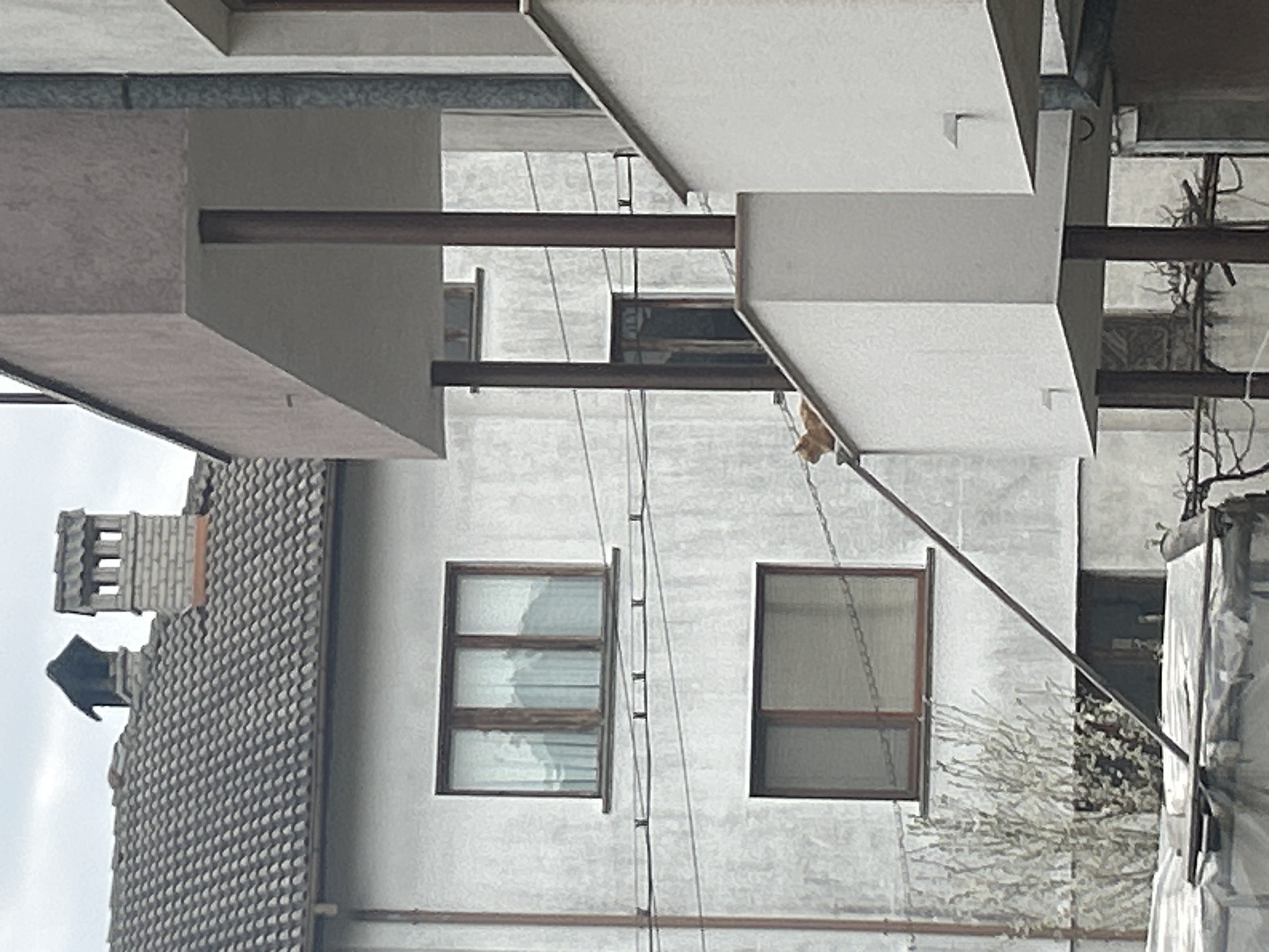 The image shows a building in Zlatograd, Bulgaria. The building has a gray facade, several windows with brown frames, and a tiled roof with a chimney. Overhead are white cuboid architectural elements connected by brown rods, possibly balconies or ledges. Power lines crisscross in front of the building. A small bush or tree is visible on the right side of the building.