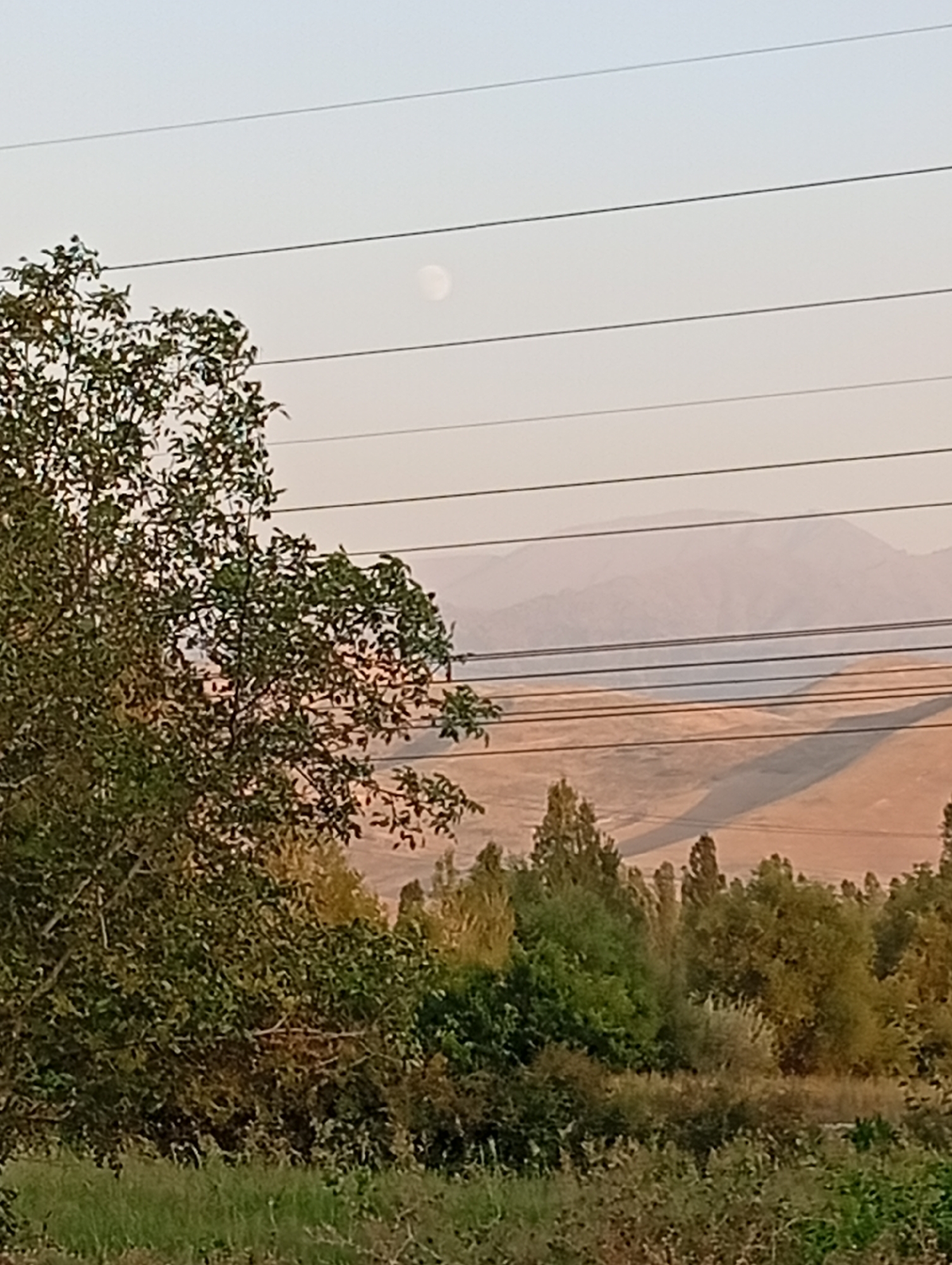 The image captures a natural landscape with power lines in the foreground. A tree with green foliage is on the left, and a slightly hazy mountain range can be seen in the distance. The sky is a pale gradient, and a partial moon is visible. The terrain appears dry and arid, with shadows cast across it. The scene suggests a rural or semi-rural environment in Angren, Uzbekistan.