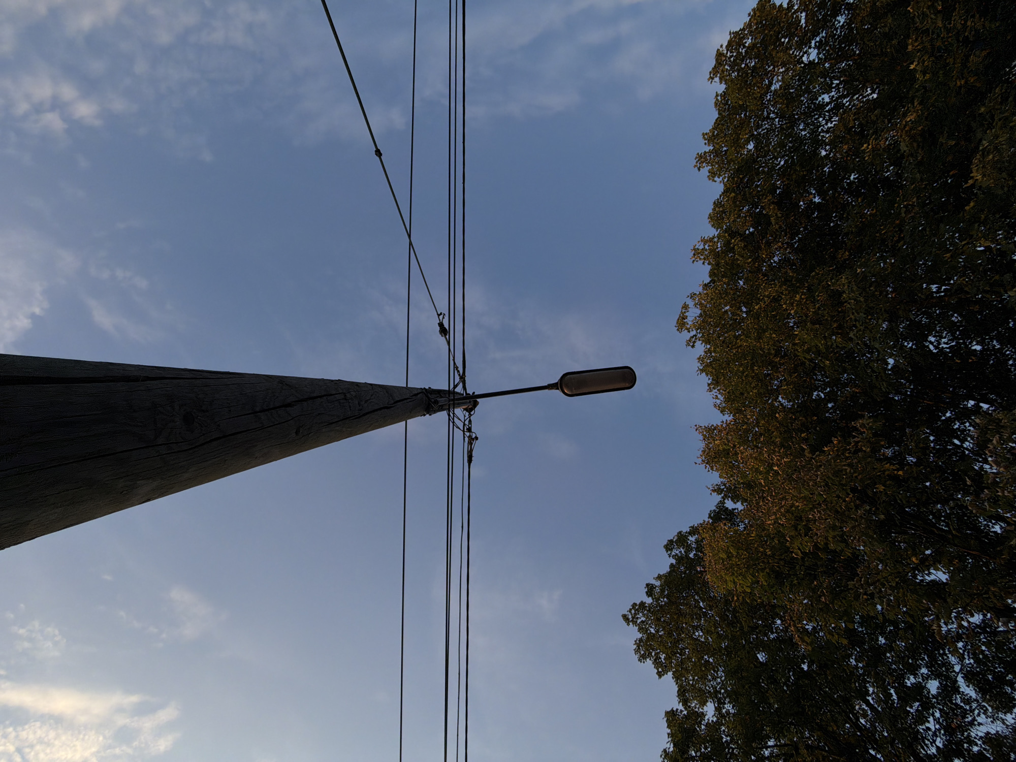 The image shows a low-angle view of a wooden utility pole extending upwards against a blue sky with scattered white clouds. Several dark power lines are strung horizontally across the sky, attached to the pole. A street lamp hangs from the pole by wires, positioned in the middle ground of the image. Below the power lines and the pole, the tops of several large, leafy trees are visible, their foliage appearing dark green and brown, suggesting it is either late summer or early autumn. The overall scene depicts a typical urban or suburban setting, possibly on the outskirts of Munich, Germany, given the context. There are no people or animals visible in the image. The lighting suggests it is either early morning or late afternoon, with the sun casting a warm glow on some of the tree leaves.