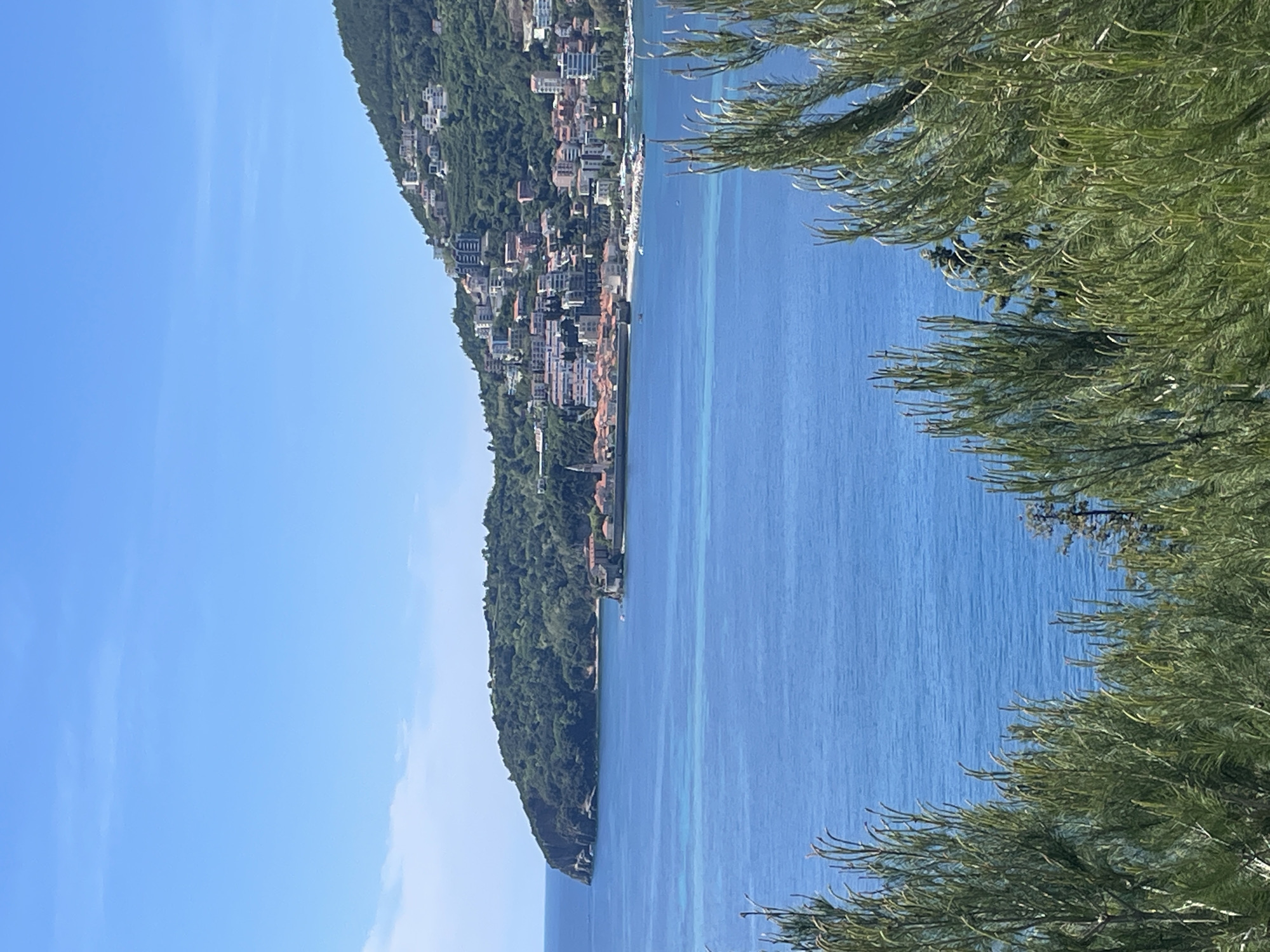 The image shows a coastal scene in the city of Budva, Montenegro. The Adriatic Sea is a prominent feature, with its blue waters filling the center and right portions of the image. A mountainous coastline covered in dense green vegetation and dotted with buildings runs along the left side of the image. The buildings appear to be residential and commercial structures, situated along the hillside. The sky is a clear blue with wispy clouds visible in the upper left. A tree is on the right of the image.