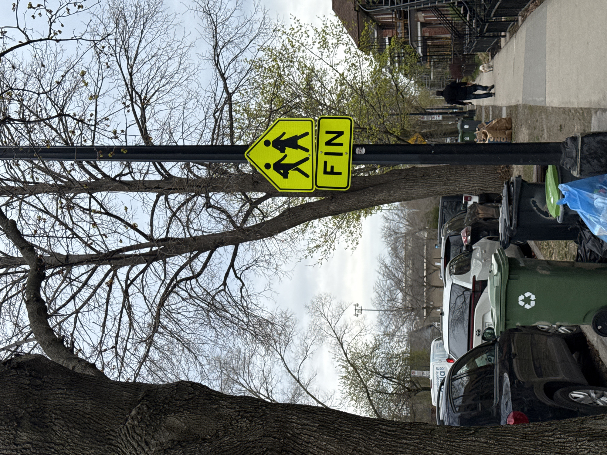 This image, presented here rotated 90 degrees clockwise, captures a daytime street scene in Montreal, Canada, during what appears to be early spring under an overcast sky.
The lower portion of the frame is dominated by the thick, textured bark of a large tree trunk, from which mostly bare branches extend upwards into the cloudy sky. Centrally, a black utility pole stands, featuring two bright yellow signs. The first is a diamond-shaped warning sign, depicting two black stylized figures, indicating a school zone or children crossing. To its right, a rectangular sign clearly displays the word "FIN" in black capital letters, which, in this Canadian context, signifies the "END" of the school zone.
To the right of the pole, a concrete sidewalk runs parallel to the street. Along the sidewalk are various waste receptacles, including a green recycling bin with the universal recycling symbol, black trash bins, and a blue plastic bag. A line of parked vehicles, including a white SUV and a black sedan, is visible on the street beyond the bins.
Further along the sidewalk, in the upper right, a person dressed in dark clothing walks away from the viewer, accompanied by a small, light-colored dog on a leash. In the background, typical brick residential buildings with dark iron railings can be seen. The scene conveys a quiet, everyday urban moment.
Visible text includes "FIN" on the yellow sign and a recycling symbol on the green bin.