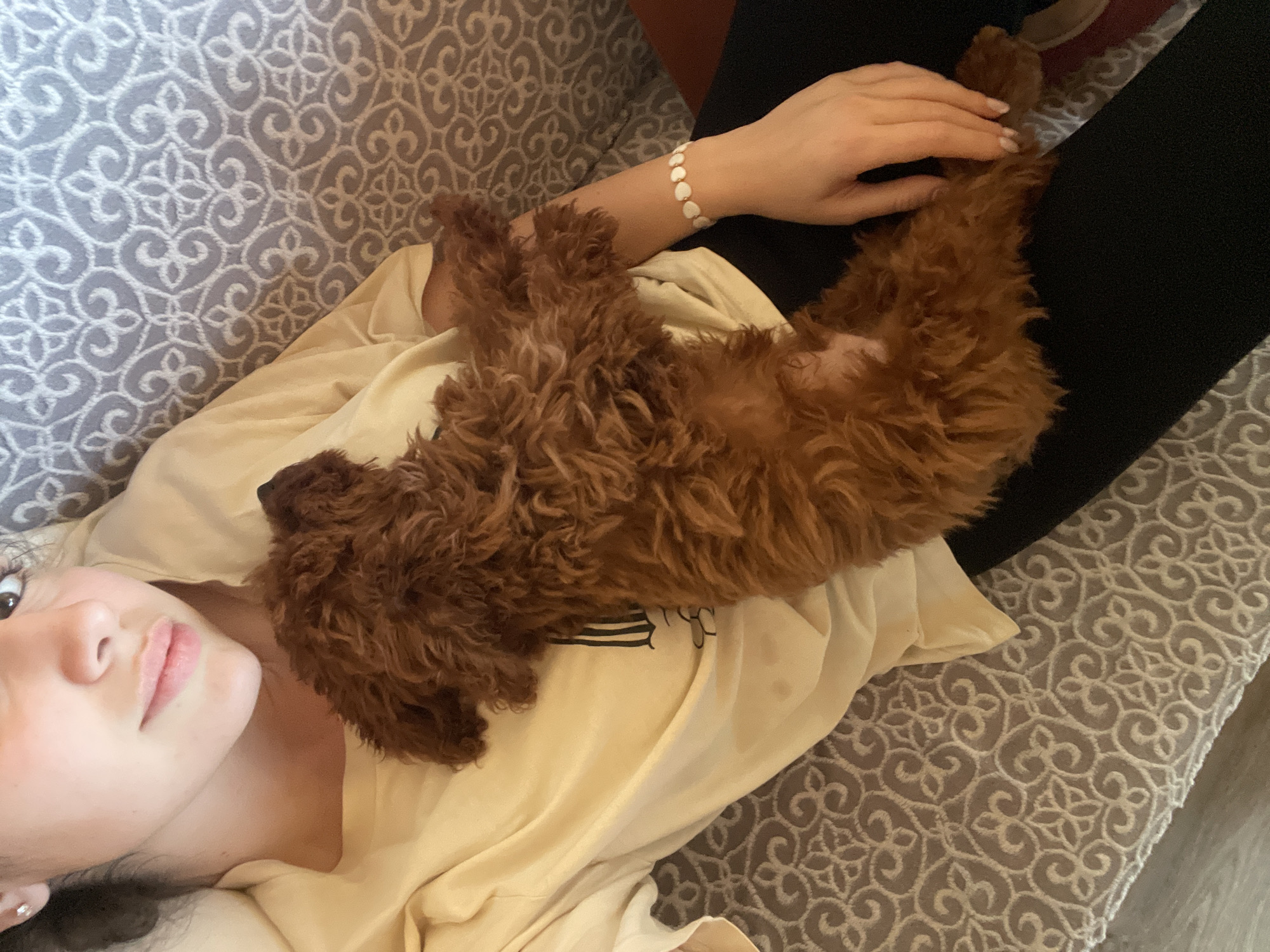 A young woman is lying on a patterned gray sofa. She is wearing a yellow t-shirt. A brown poodle is lying on her chest. The woman is touching the dog with her hand and wearing a white beaded bracelet. The location is indeterminate, as there are no distinguishing features indicating that the image was taken in Sofia, Bulgaria.