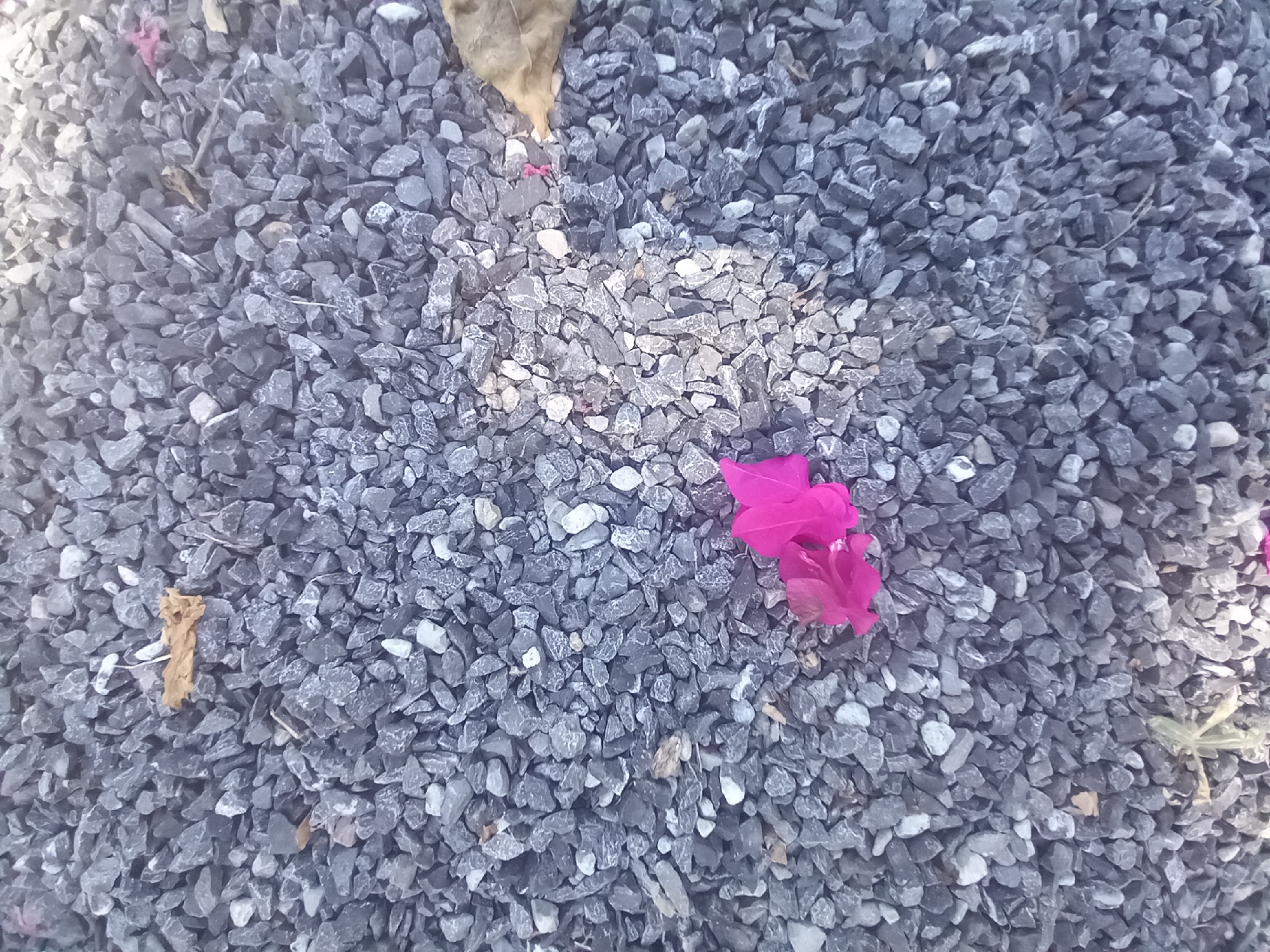 The image shows a close-up, overhead view of a patch of grey gravel. A few dried brown leaves are scattered on the gravel, along with a bright pink flower. The lighting suggests an outdoor environment, possibly a garden or pathway, with some areas illuminated by sunlight and others in shadow. The location is identified as Baan Mae Nam, Thailand, but this detail is not visually verifiable from the image itself. There are no people or discernible actions depicted.