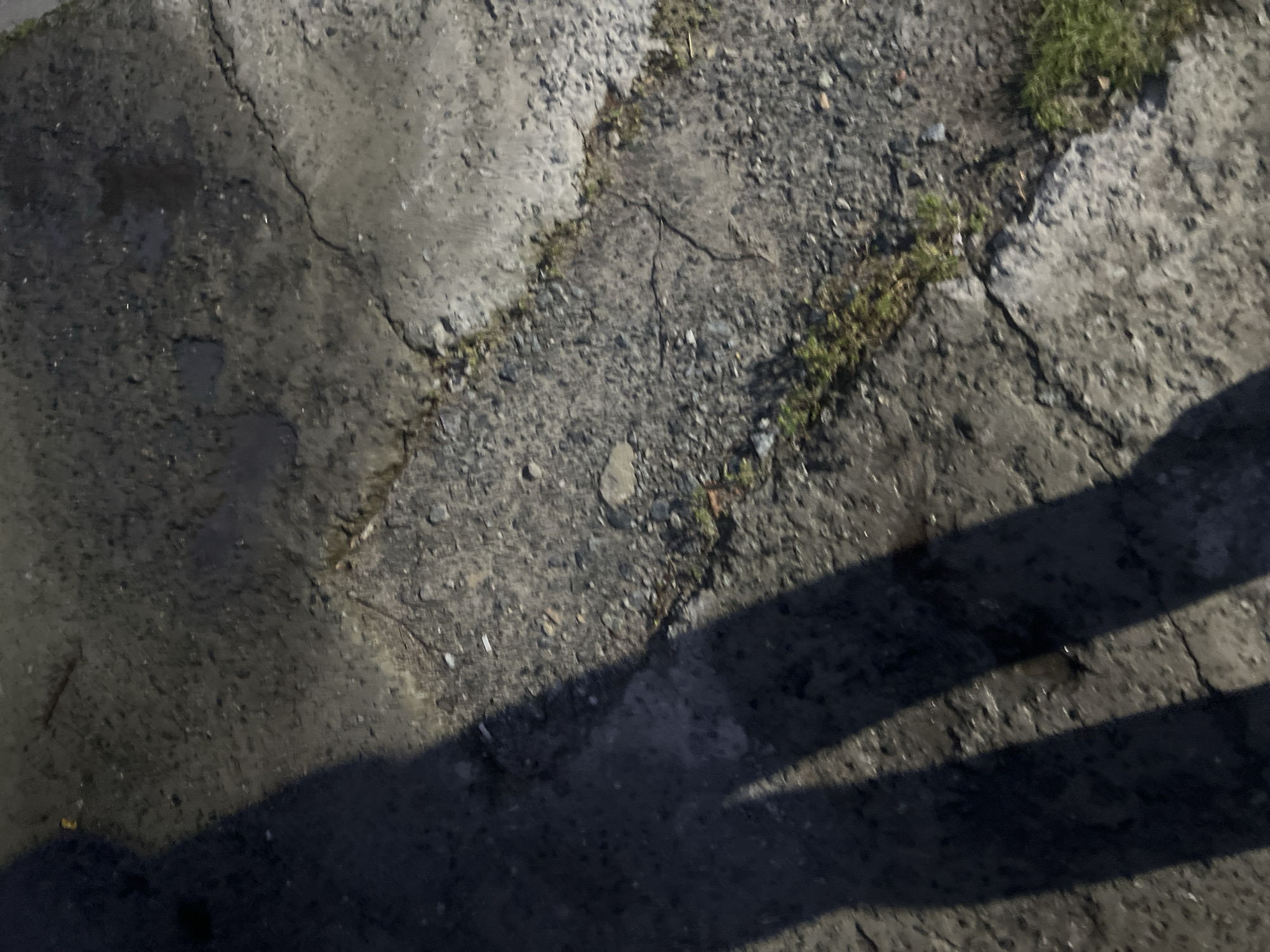 The image shows a shadow of a person's legs and torso cast on a cracked asphalt surface. The surface appears to be damp in places and has small pebbles and dirt scattered across it. Patches of green grass are visible growing in some of the cracks. The lighting suggests it is either early morning or late evening. The scene does not contain any specific landmarks or environmental cues to identify its location within the city of Surgut, Russia.