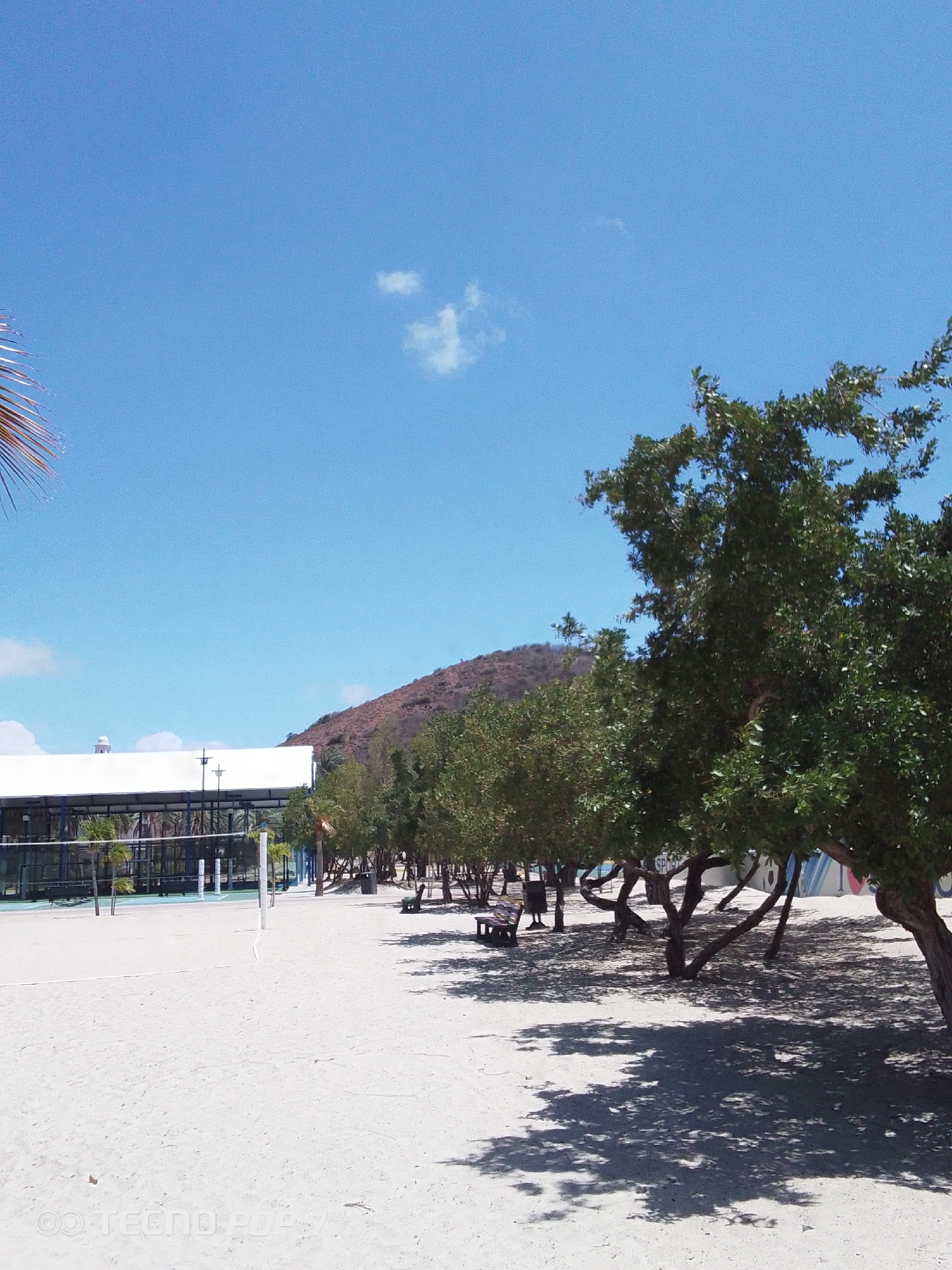 The image captures a beach scene in Pedro González, Venezuela, under a clear, bright blue sky with a few wispy clouds. The foreground is dominated by a white sand beach. A volleyball net is partially visible on the left. A row of trees lines the edge of the beach, casting shadows on the sand. Behind the trees, benches are visible. In the background, a building with a white roof and blue framing structure is present on the left, while a hill or small mountain is seen in the distance toward the center. The overall impression is one of a sunny, peaceful beach environment.