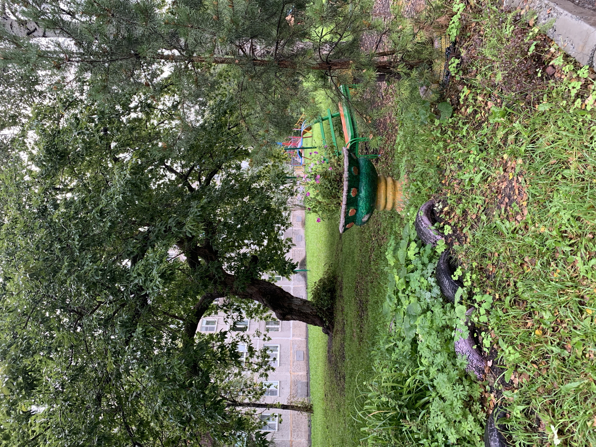 In Prokopyevsk, Russia, a residential courtyard is depicted with an old, thick-trunked tree dominating the foreground. The tree's branches droop over a patch of green grass. To the right of the tree, a young evergreen tree stands. A large, decorative concrete planter painted green and yellow is visible, filled with small pink flowers. Behind the planter, a green metal park bench with an orange seat rests on the grass. In the background, a multi-colored children's playground with swings and slides can be seen. A multi-story apartment building, typical of Soviet-era architecture with white-framed windows, stands behind the trees and playground. The ground is covered in green grass and scattered fallen leaves. In the immediate foreground, several segments of old tires, painted purple, are arranged to form a decorative border amidst overgrown green plants. The scene suggests a slightly neglected but functional urban green space.
