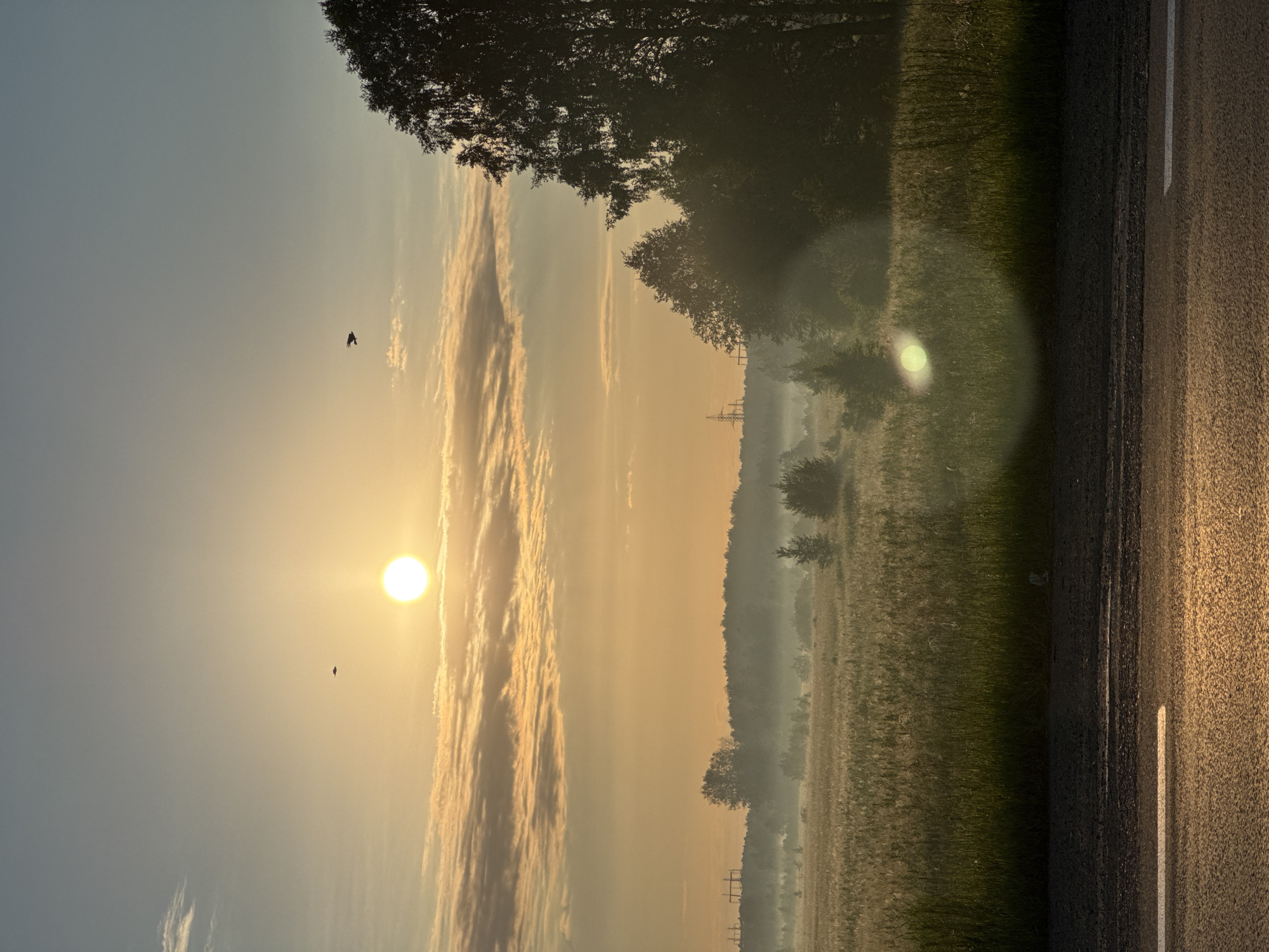 This media file depicts an outdoor scene at dawn. The sun, a bright orb, is low in the sky, casting a warm golden glow over the landscape and creating lens flare. Two birds are visible in flight against the pale blue sky. Wispy clouds are illuminated by the sun.
The foreground shows a paved road with a white line marking its edge. To the left of the road is a grassy field, appearing somewhat dewy, with a line of trees in the distance. The trees and field are partially obscured by a light mist, suggesting cool, damp morning air. In the far distance, electrical pylons can be seen. The overall atmosphere is serene and peaceful, evoking the quiet beauty of early morning. The scene appears to be rural. There is no visible text.