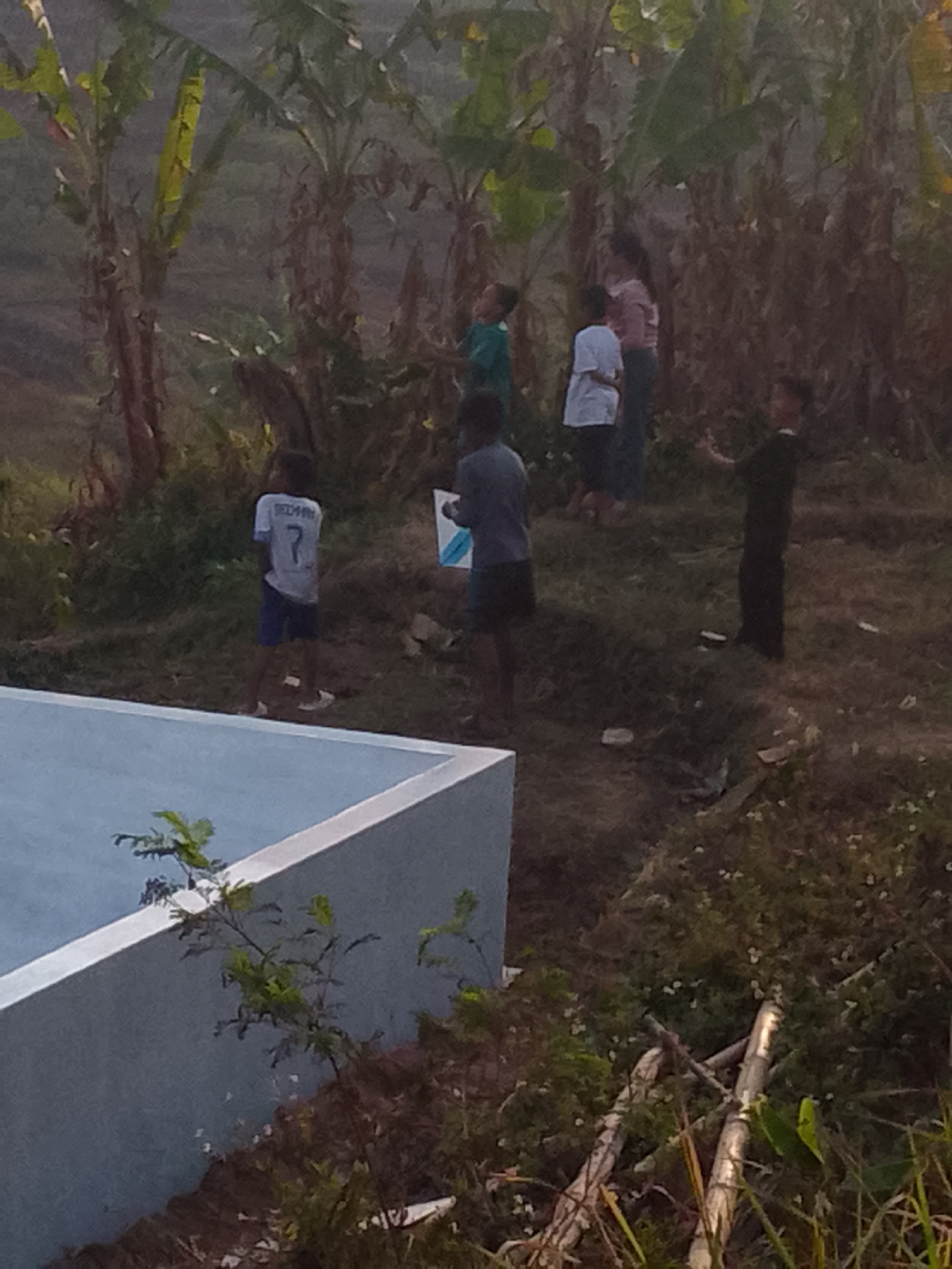 A group of people, including children, are gathered outdoors in a rural setting in Padalarang, Indonesia. The environment appears to be hilly with lush vegetation, including banana trees. Some of the individuals are standing and observing something, while others are in motion. One child is wearing a white t-shirt with the number 7 on the back, and another child is holding a blue and white object. In the foreground, there is a partially visible light blue structure with a white edge, possibly a swimming pool or water tank. The overall scene suggests a casual gathering or activity taking place in a semi-natural environment.